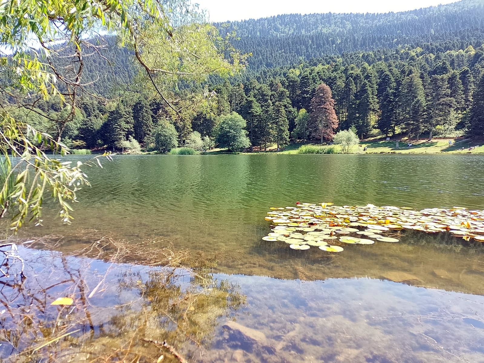 IMG-20240909-WA0025