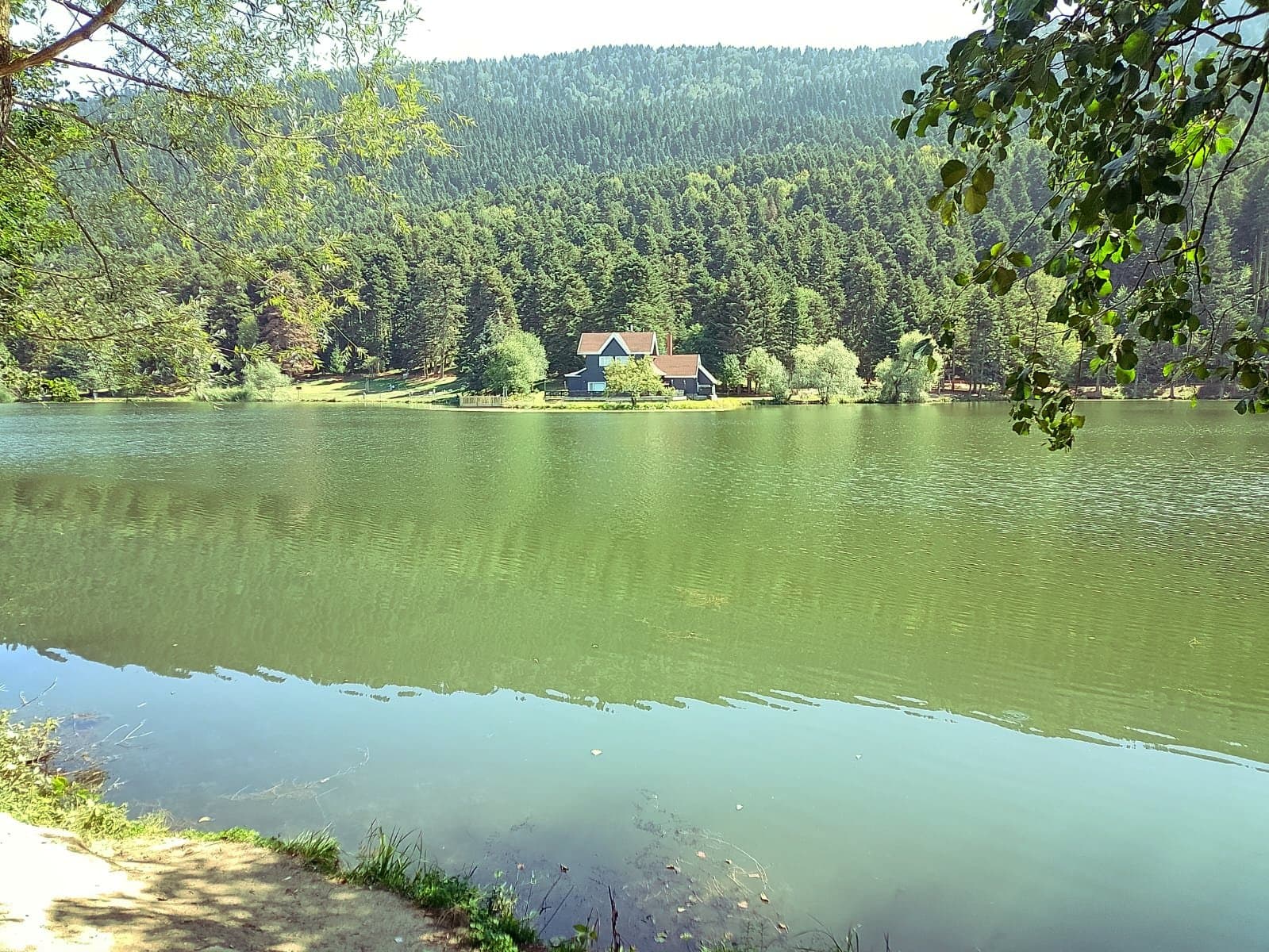 IMG-20240909-WA0028