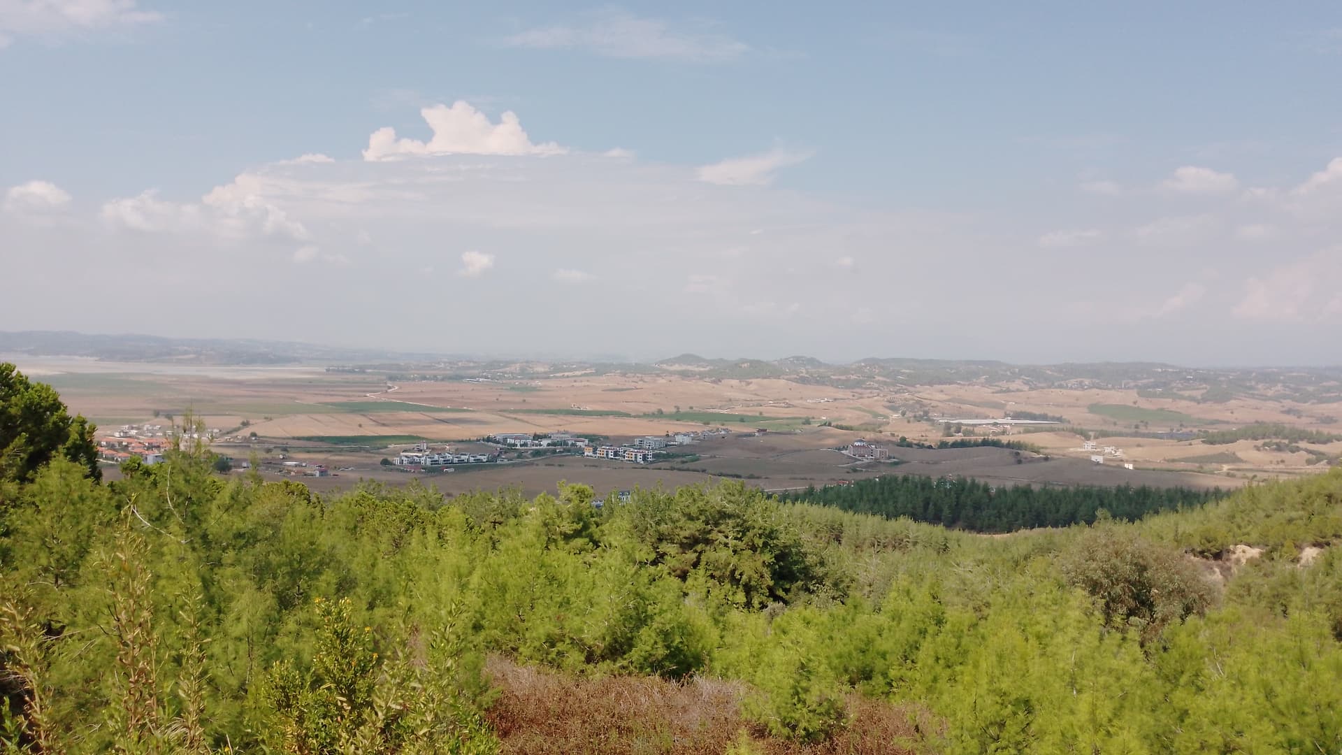 IMG-20240921-WA0023