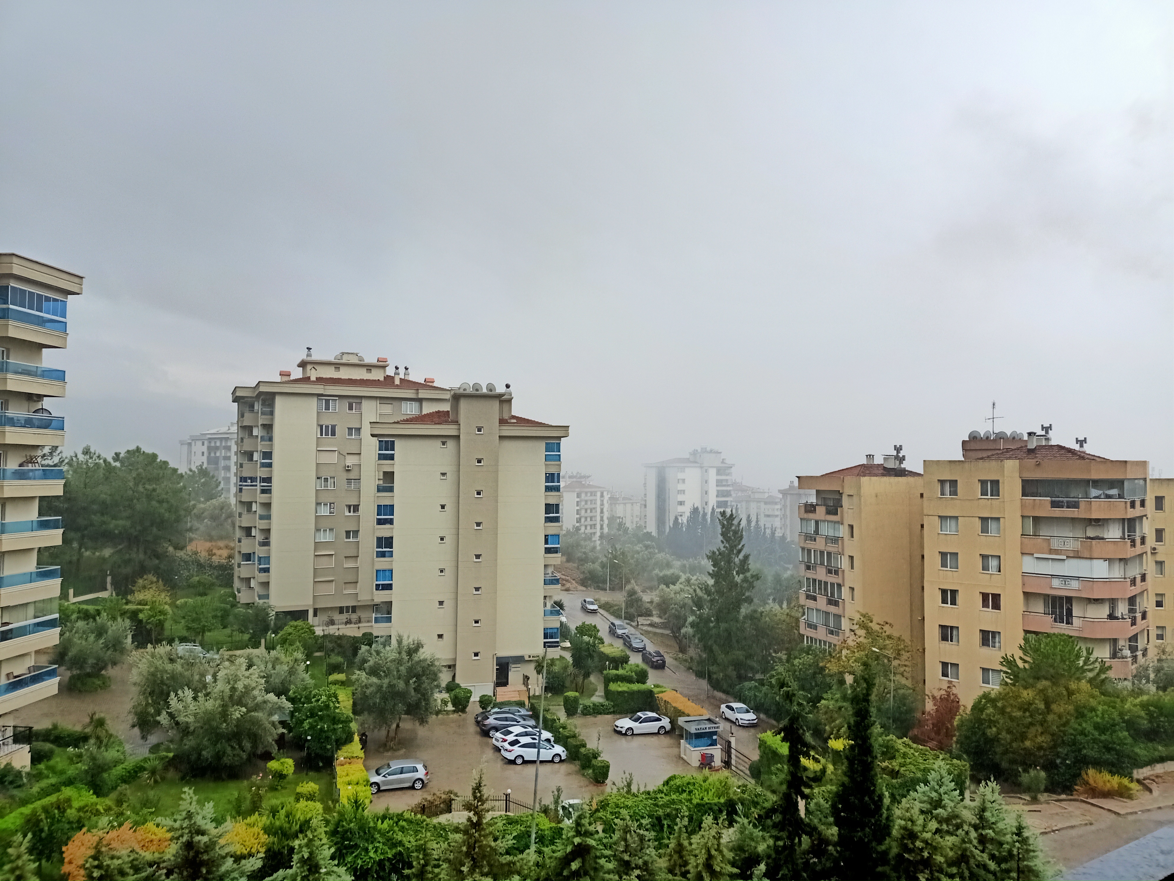 IMG20201008170336.jpg