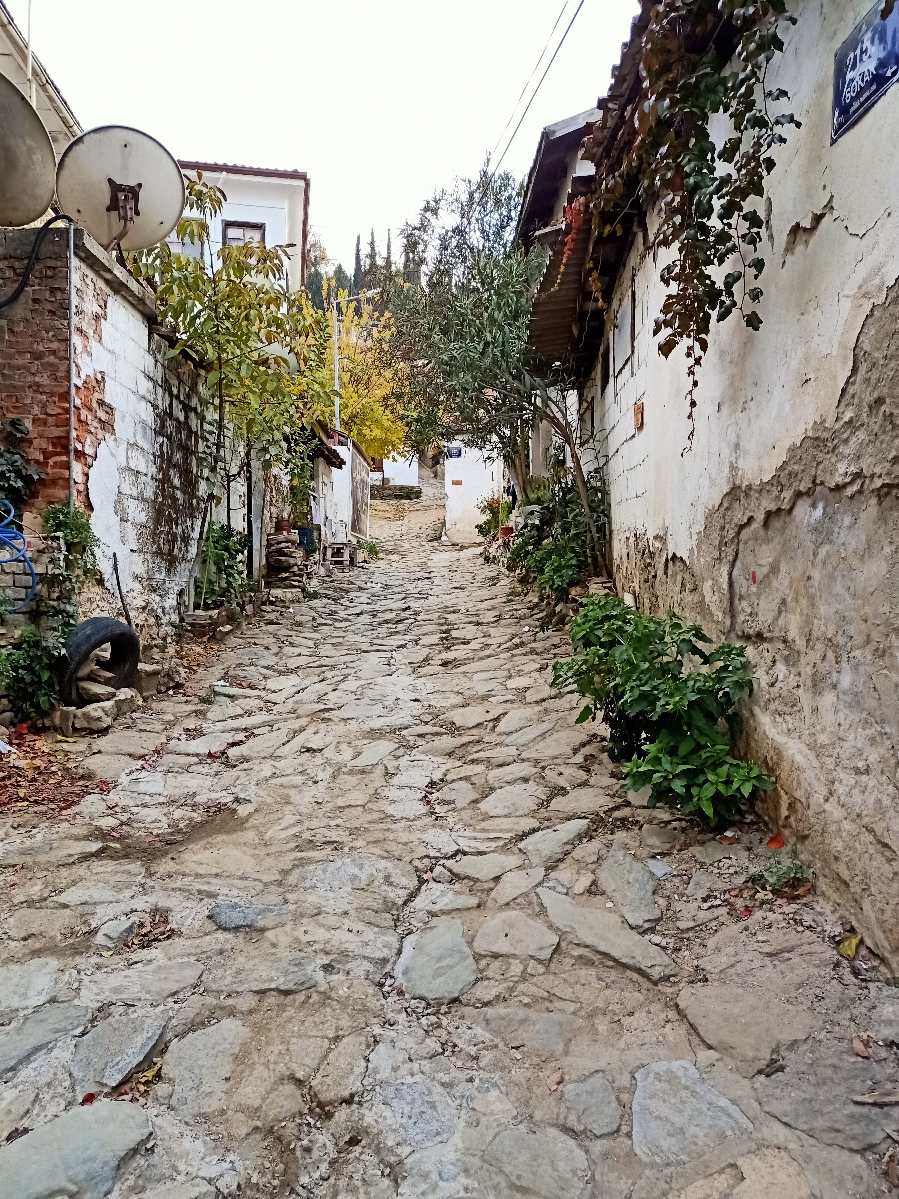 IMG20201129161407.jpg