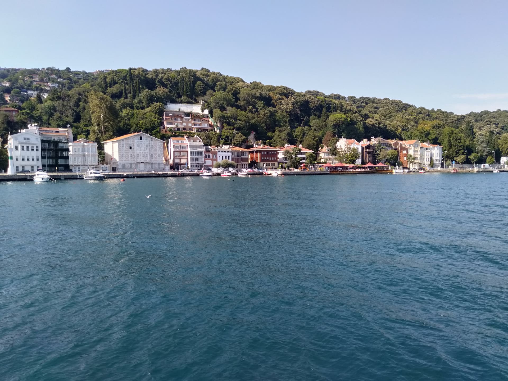 IMG20220827154906