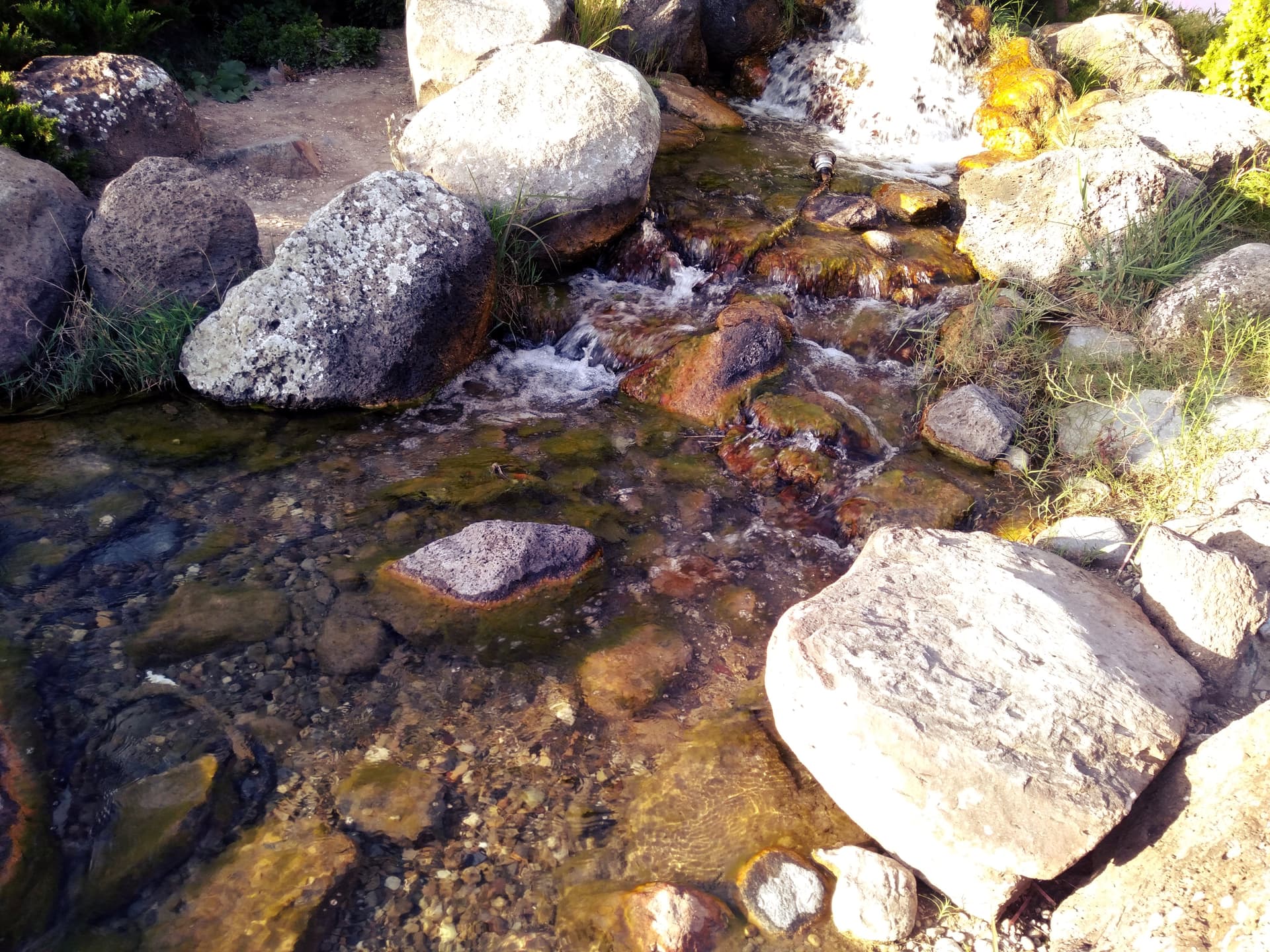 IMG20220910182107