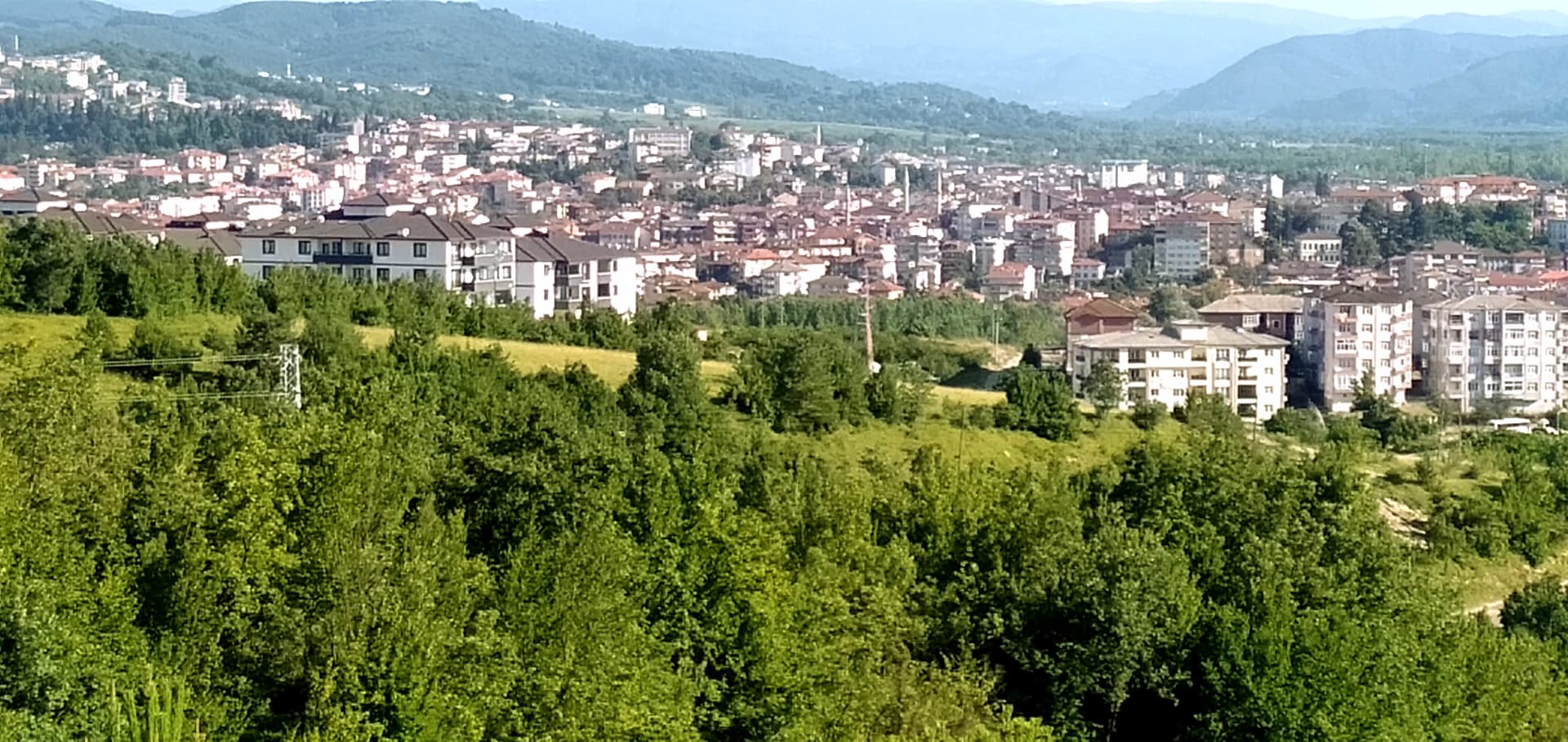 IMG20230630173859