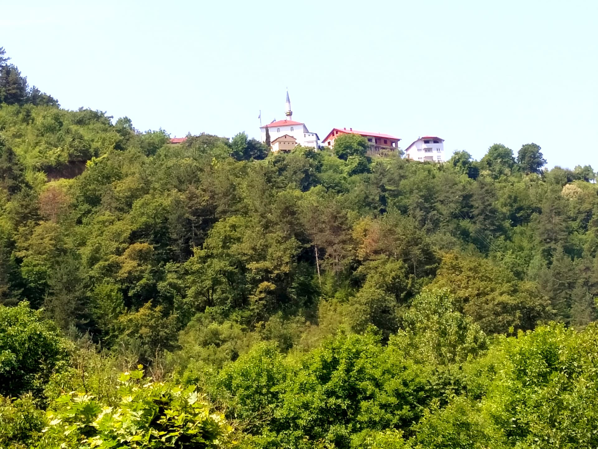 IMG20230707111915