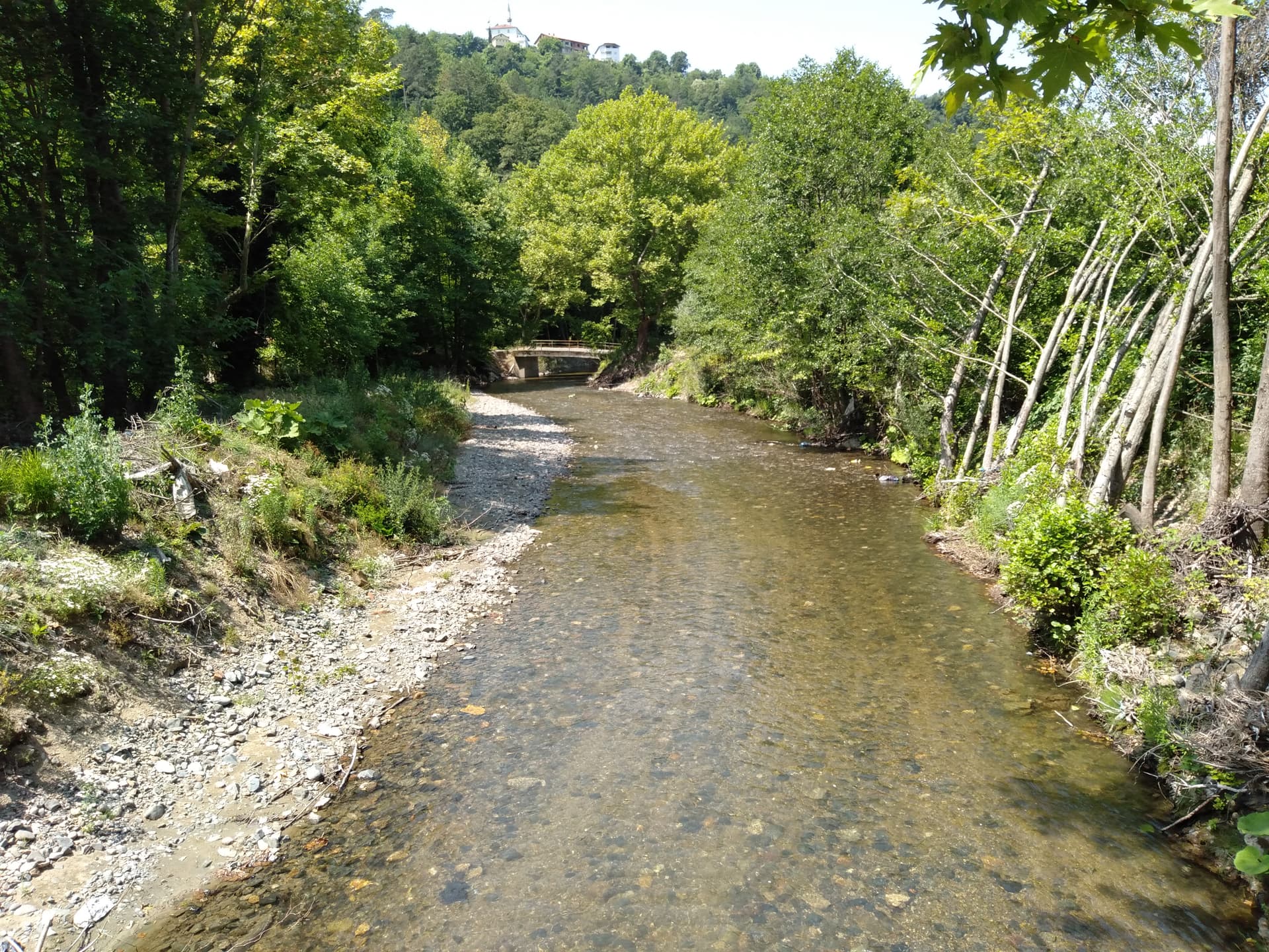 IMG20230707114037