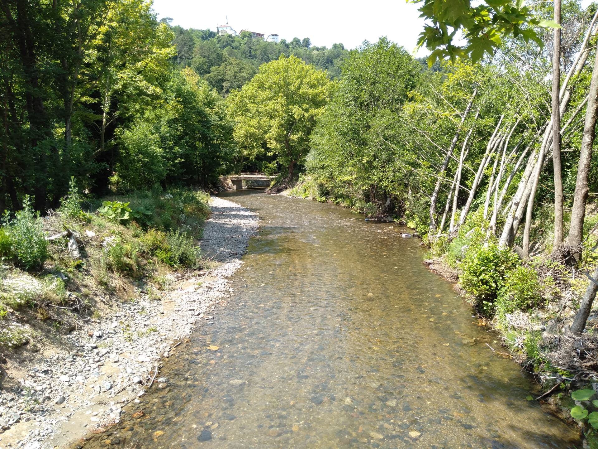 IMG20230707114040