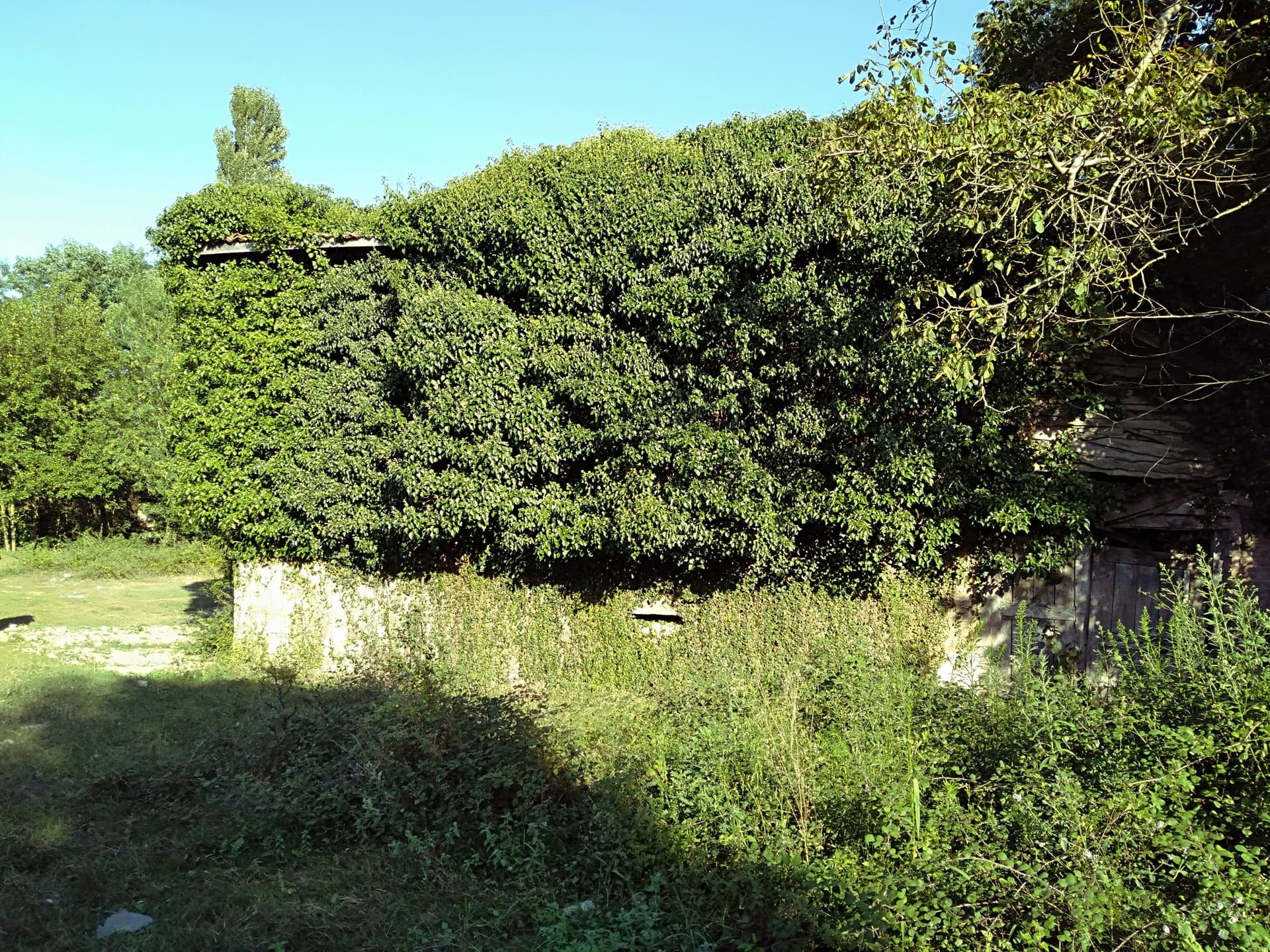 IMG20230819173031