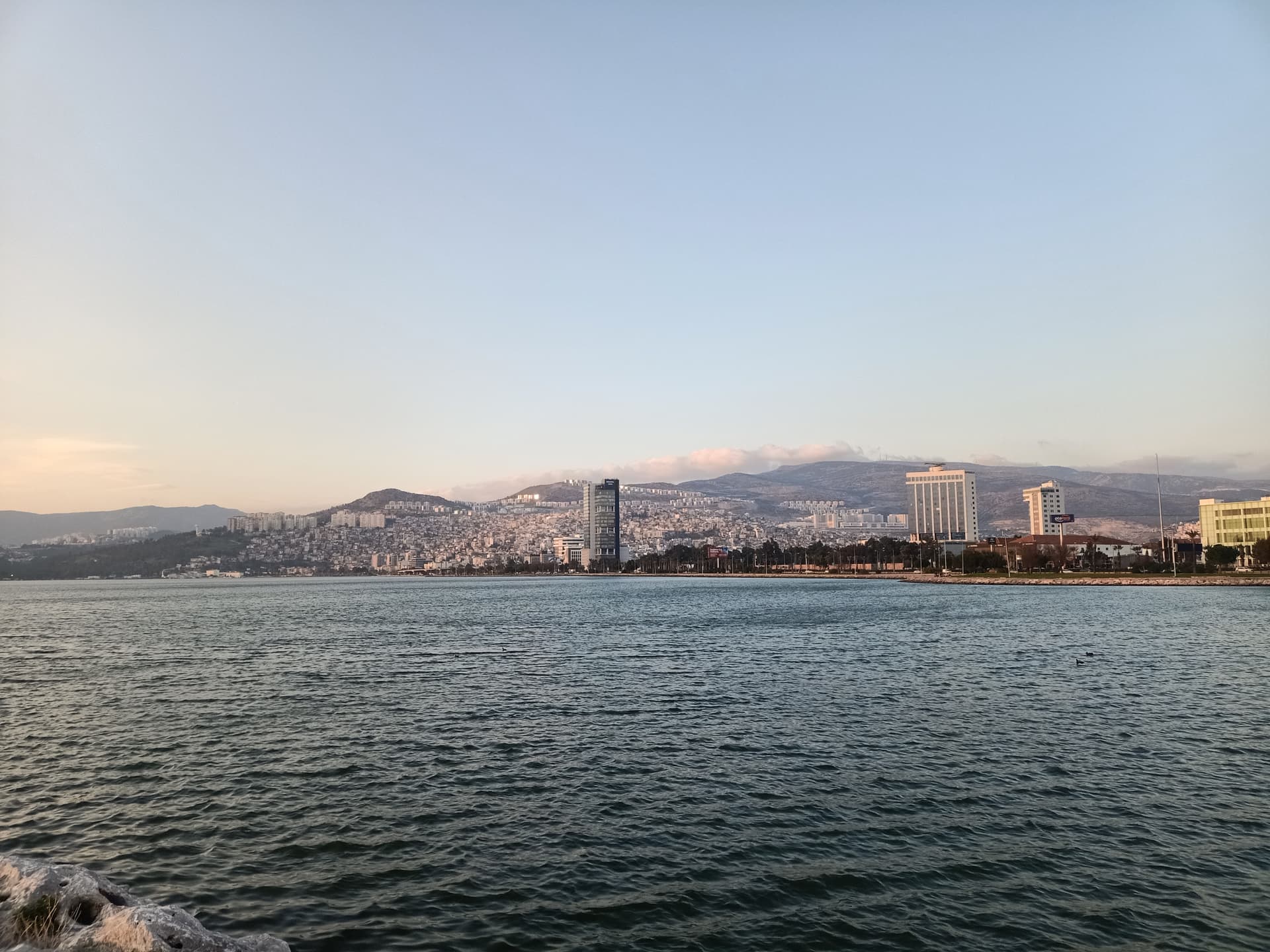 IMG20240217182212