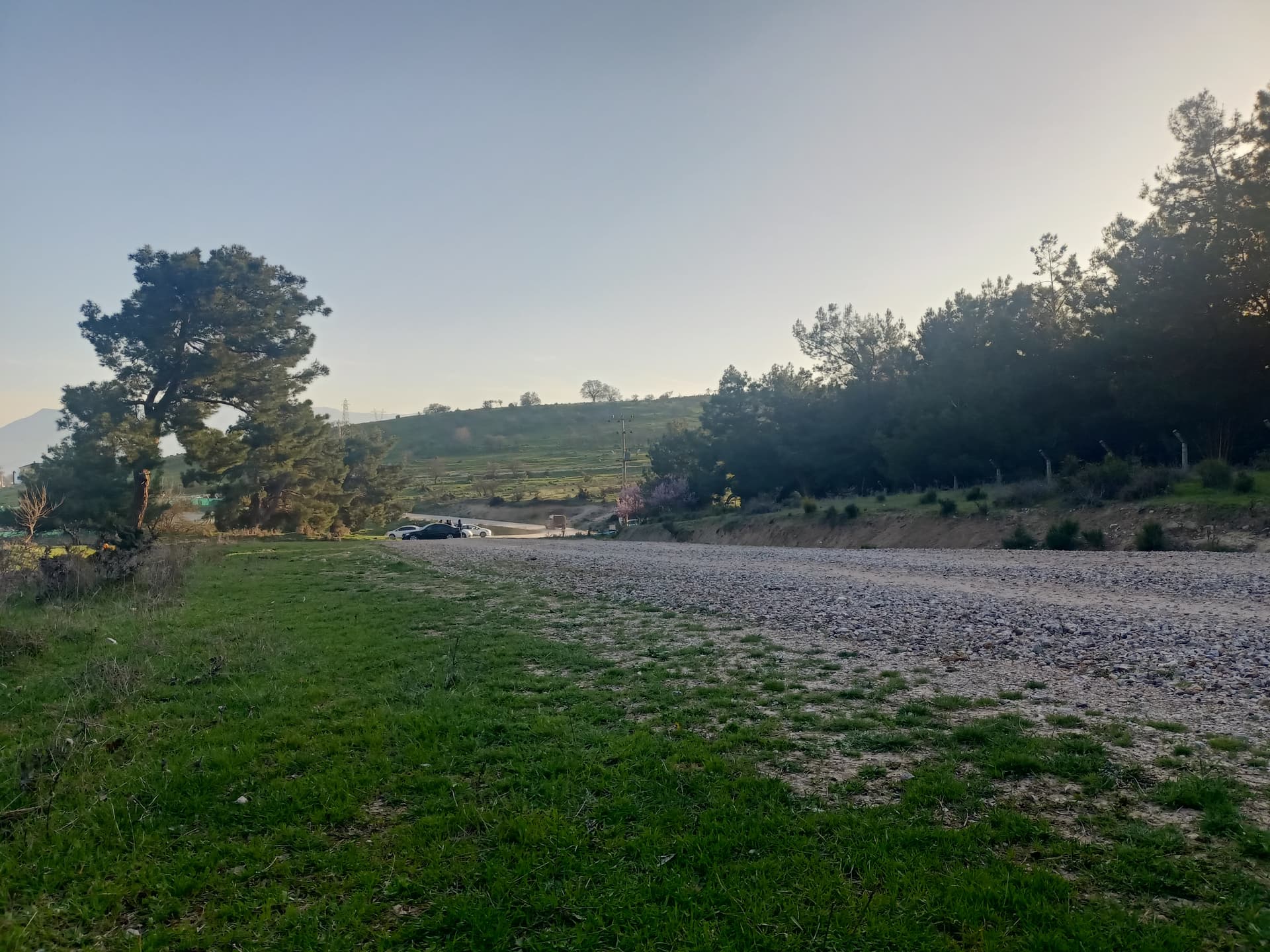IMG20240311181217