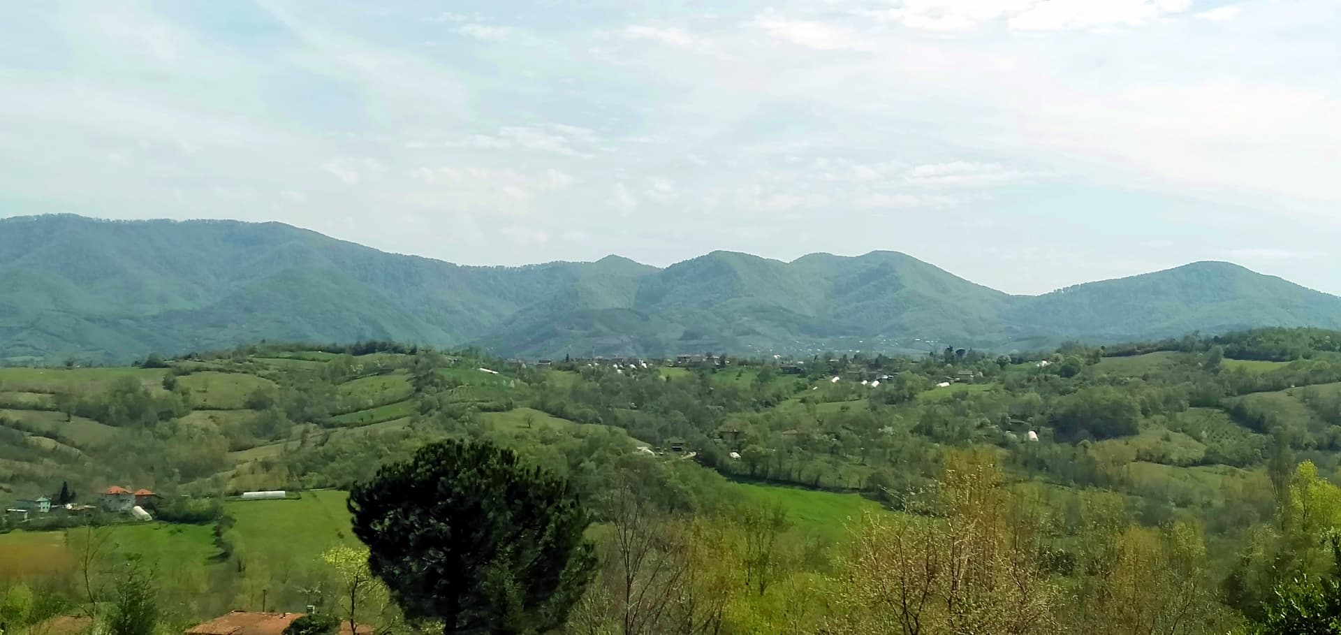 IMG20240404134415