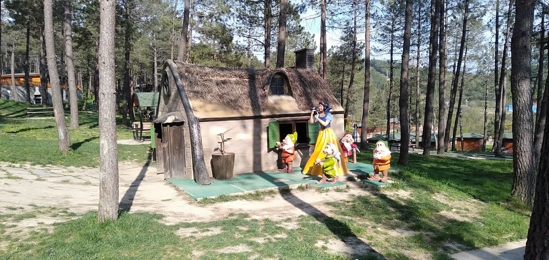 IMG20240408163449