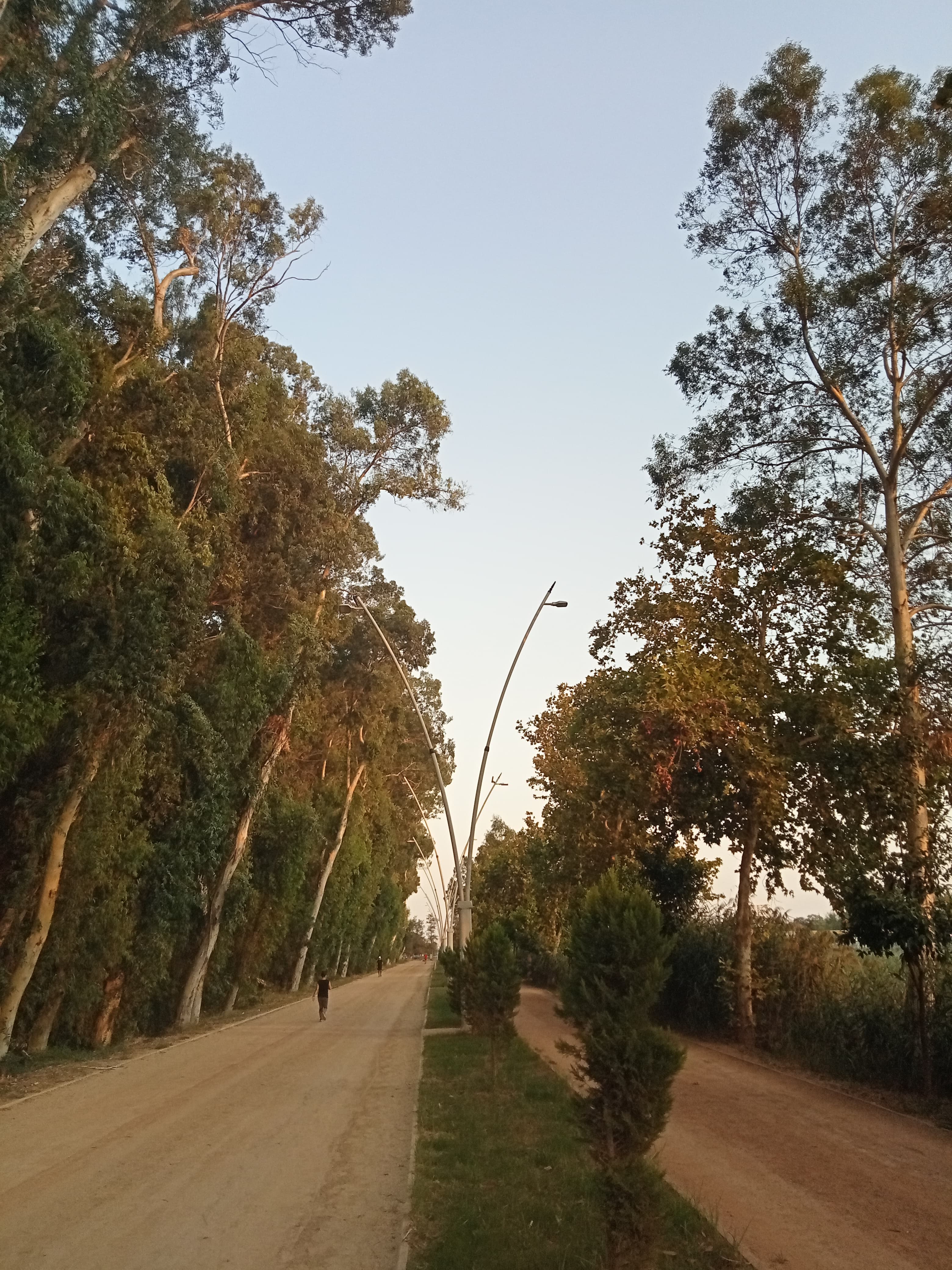 IMG20240820185318