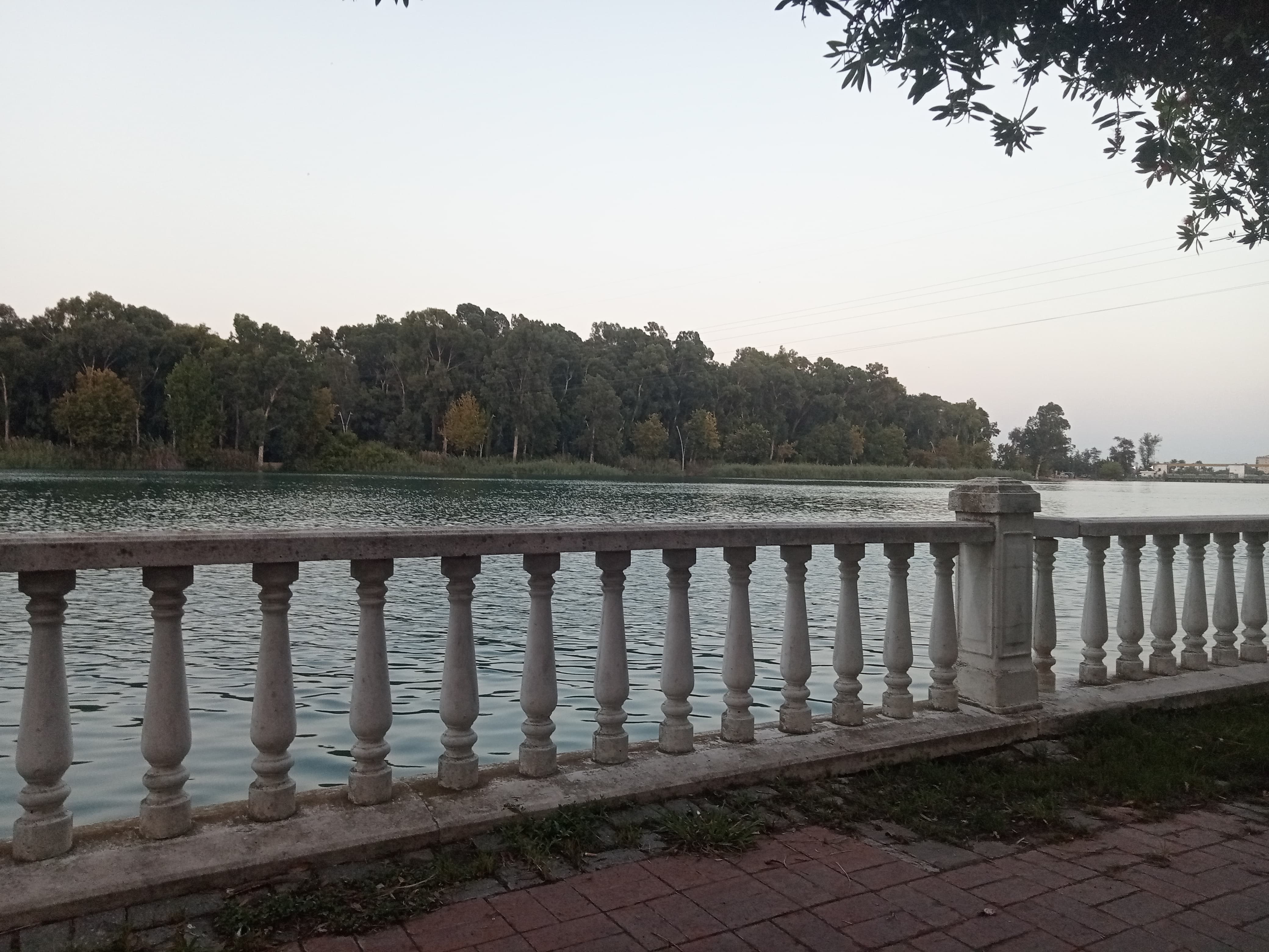 IMG20240820190917