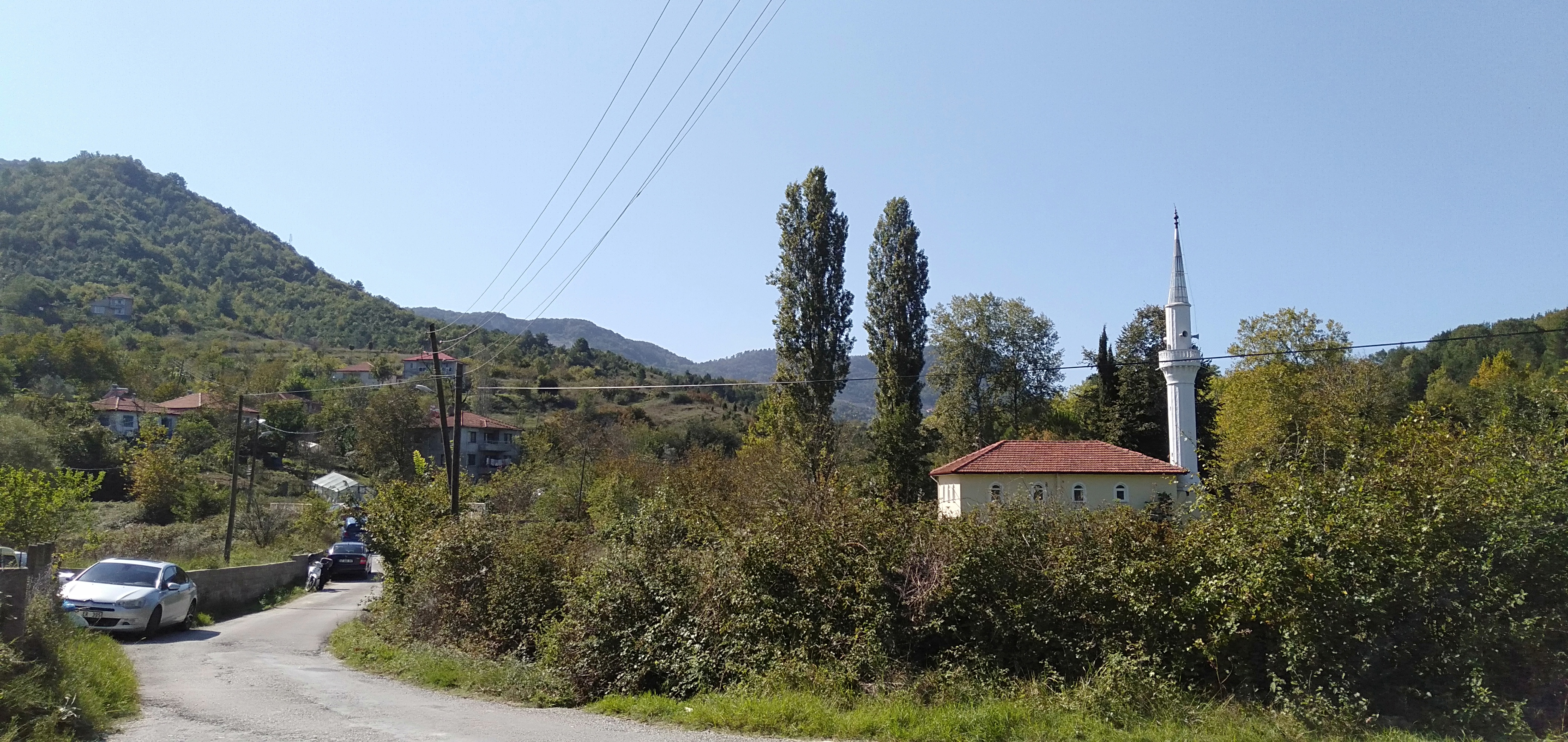 IMG20240928134125.jpg