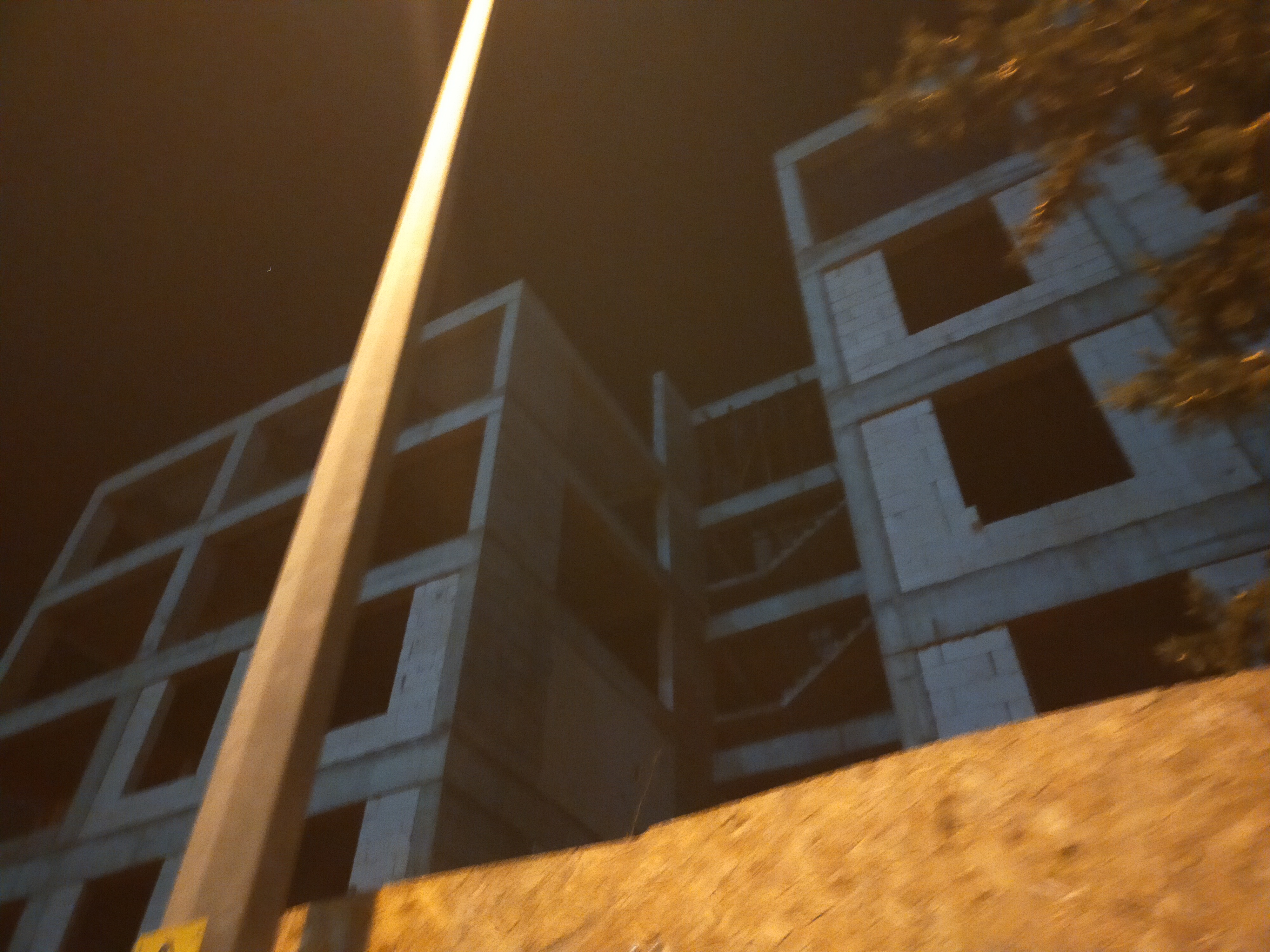 IMG20250125205241.jpg