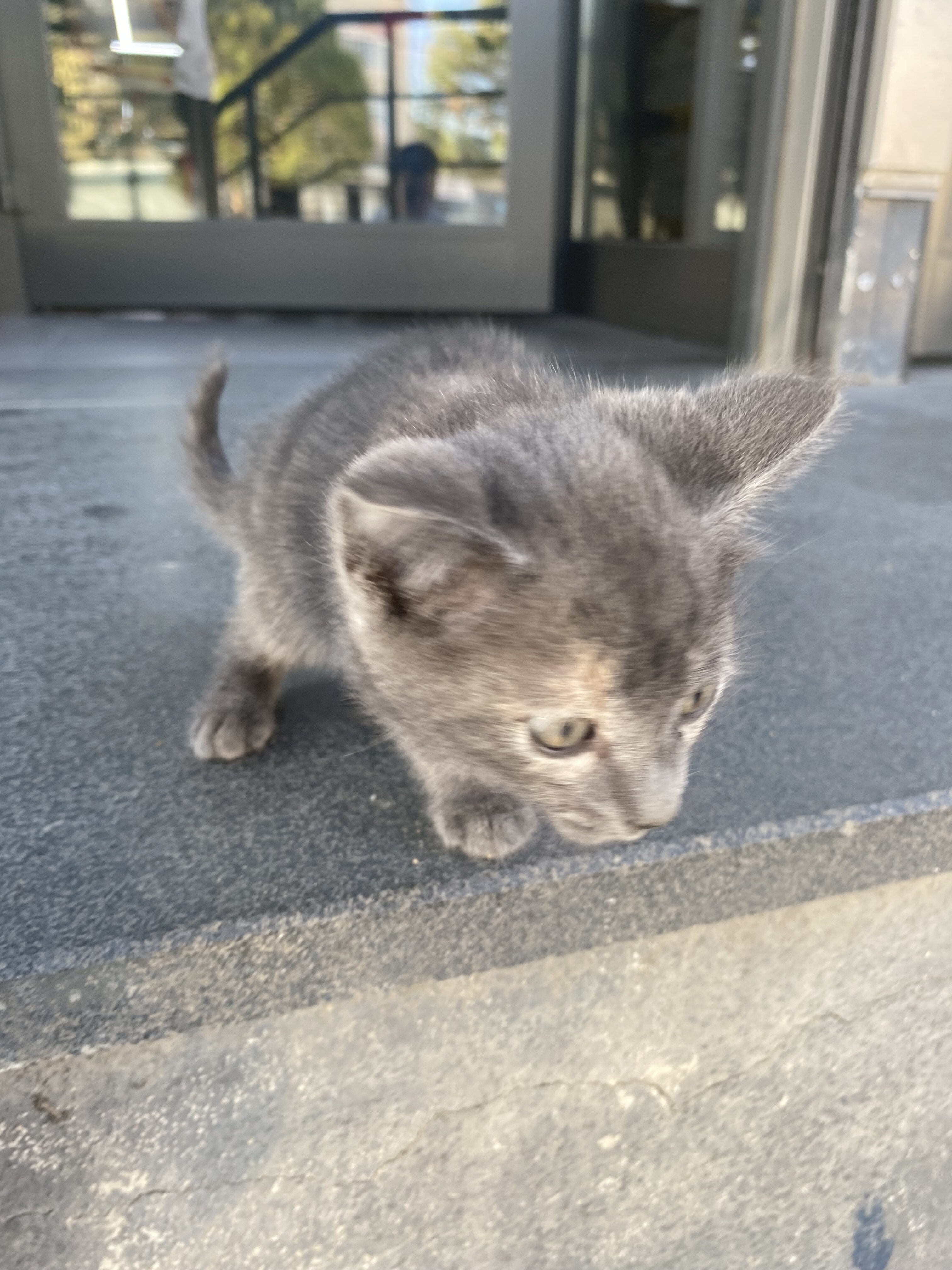 IMG_0555.jpeg