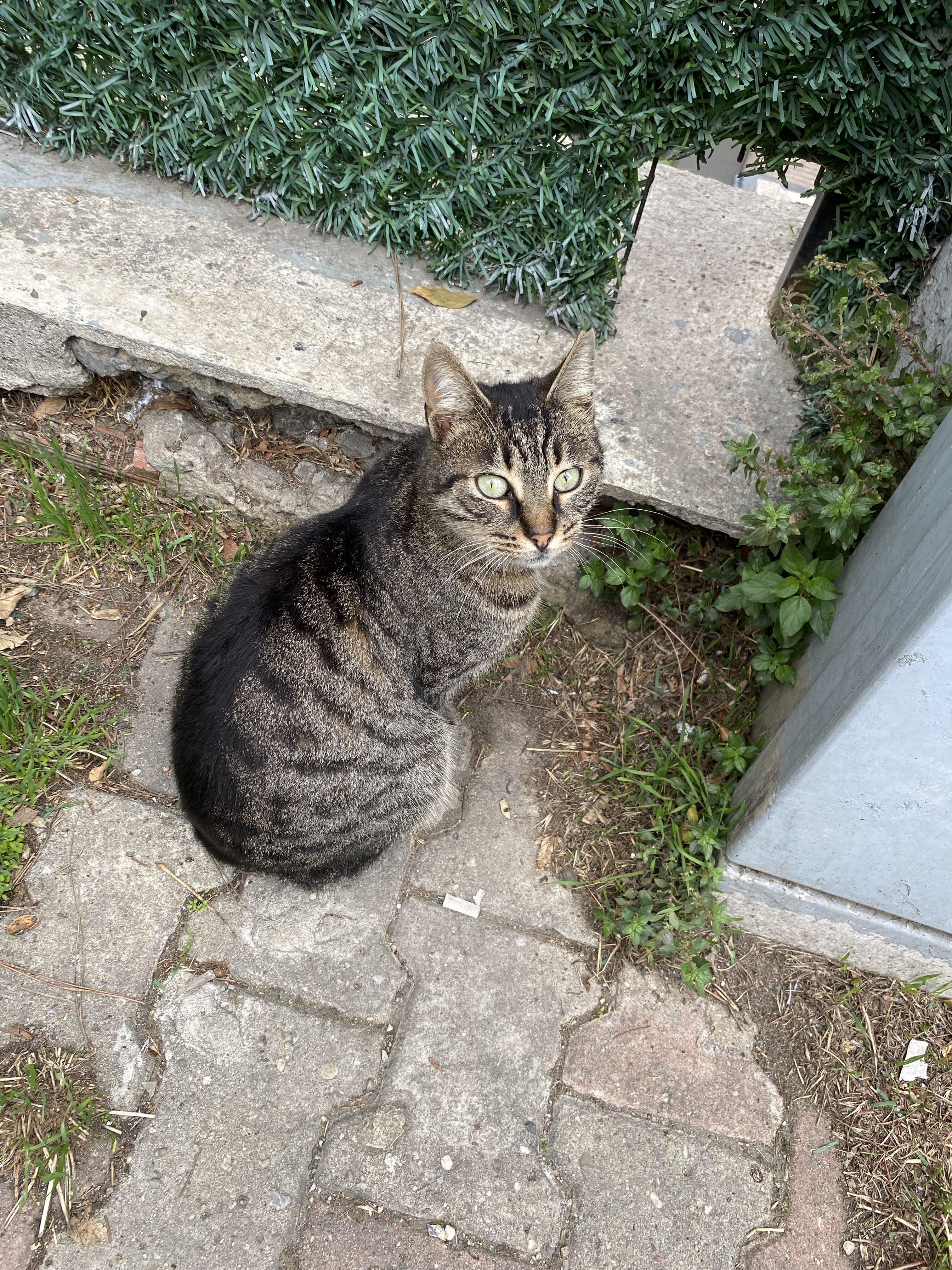 IMG_0813.jpeg