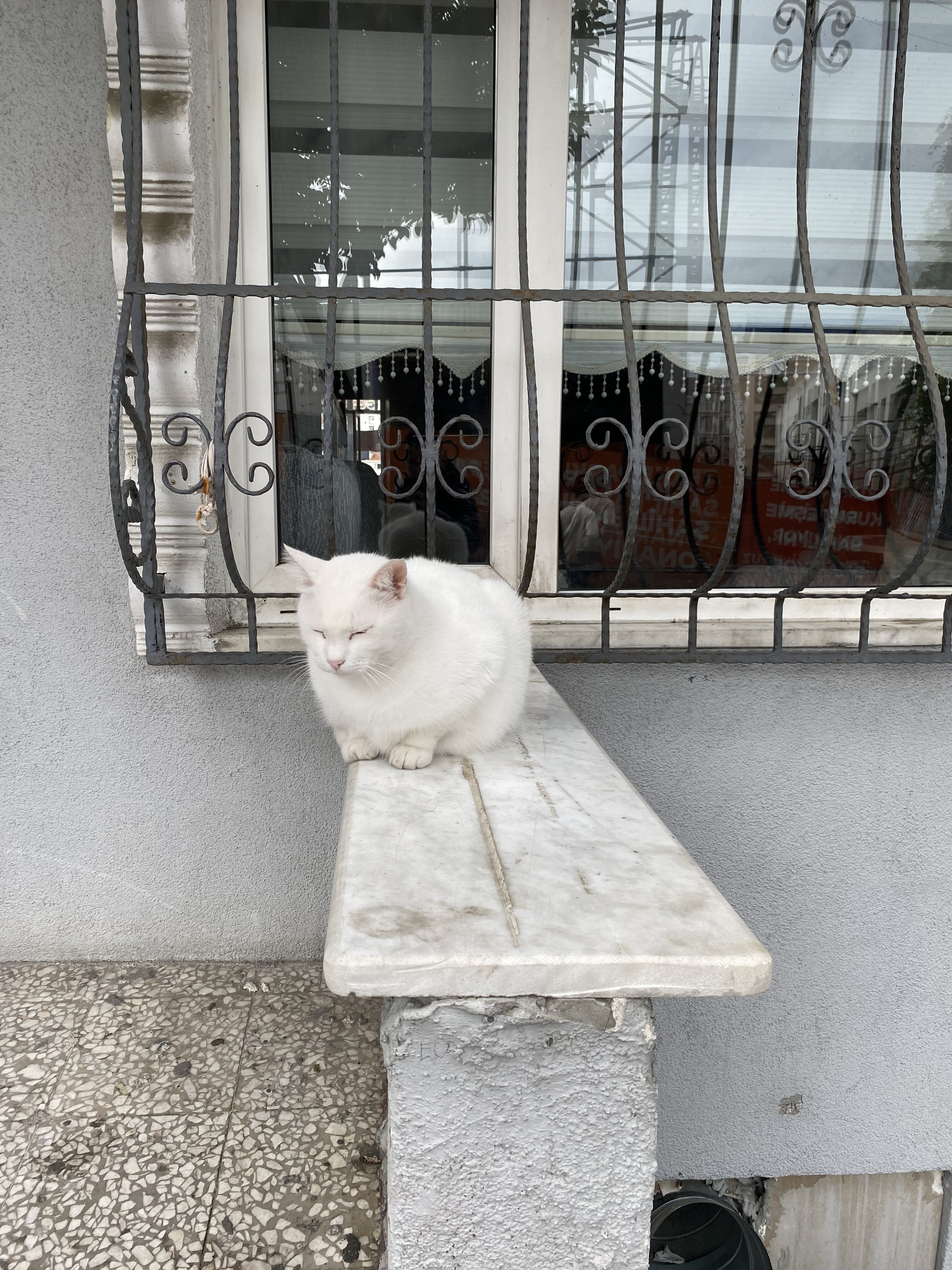 IMG_0816.jpeg