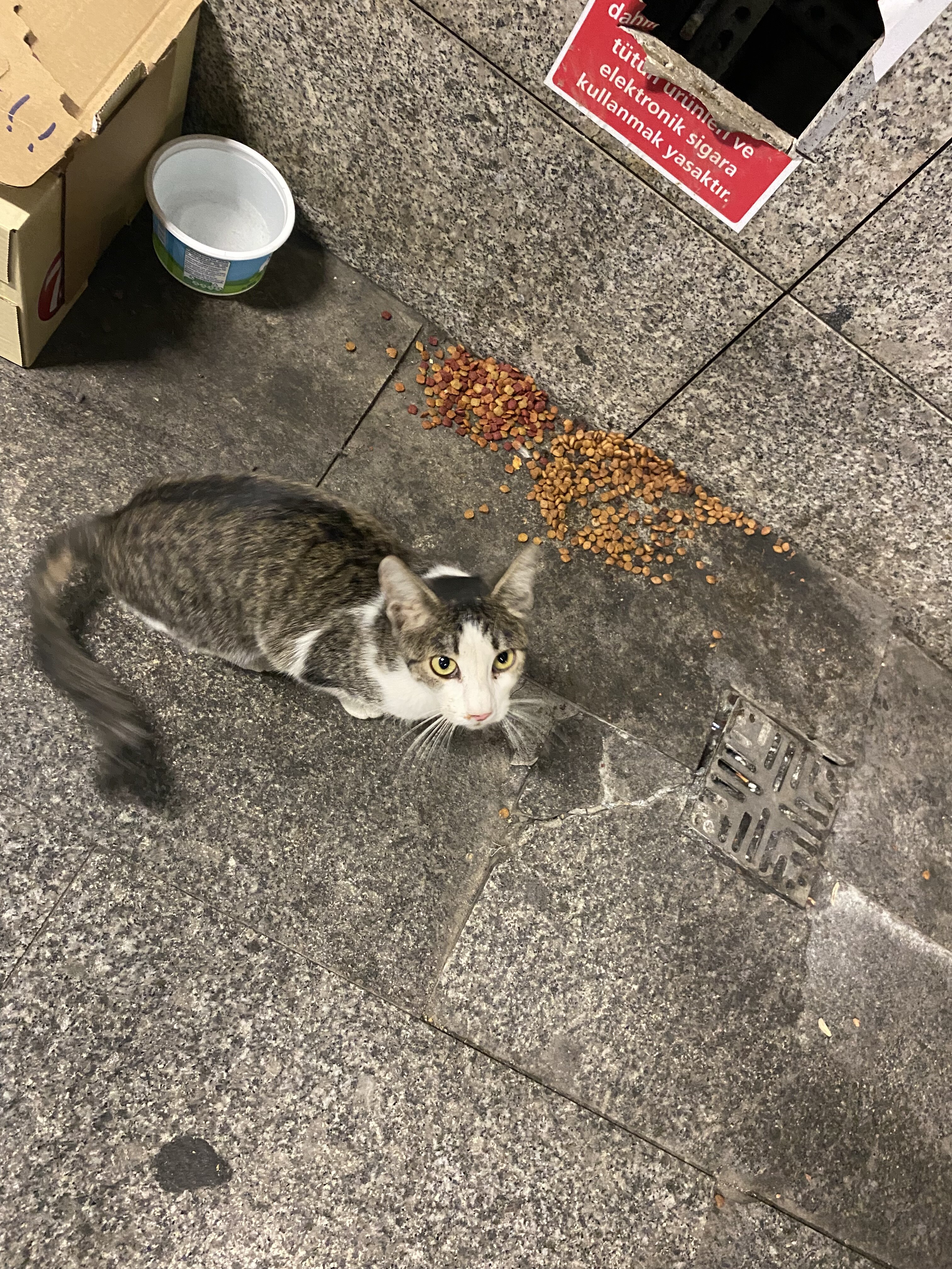 IMG_0819.jpeg
