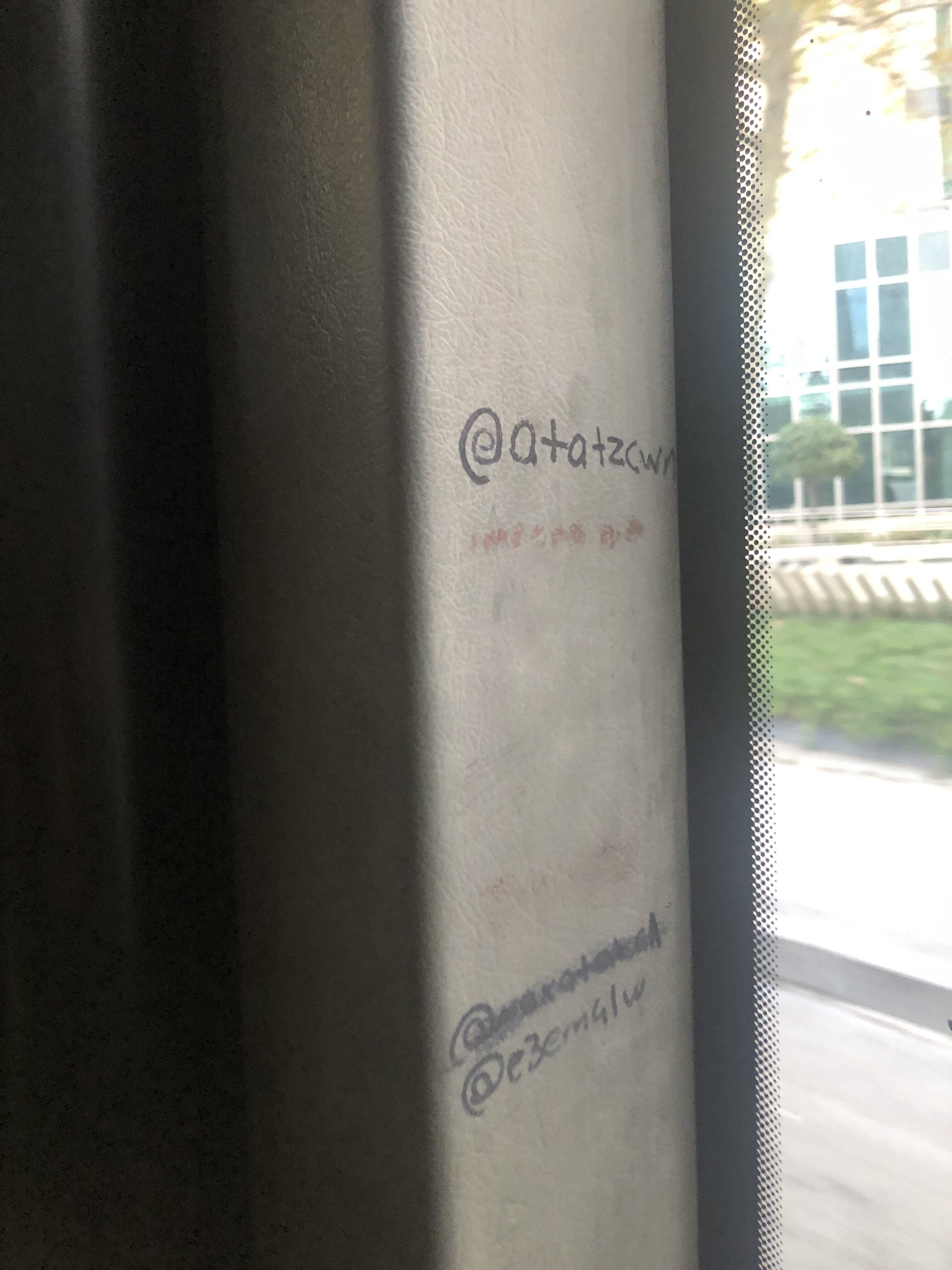 IMG_1773.jpeg