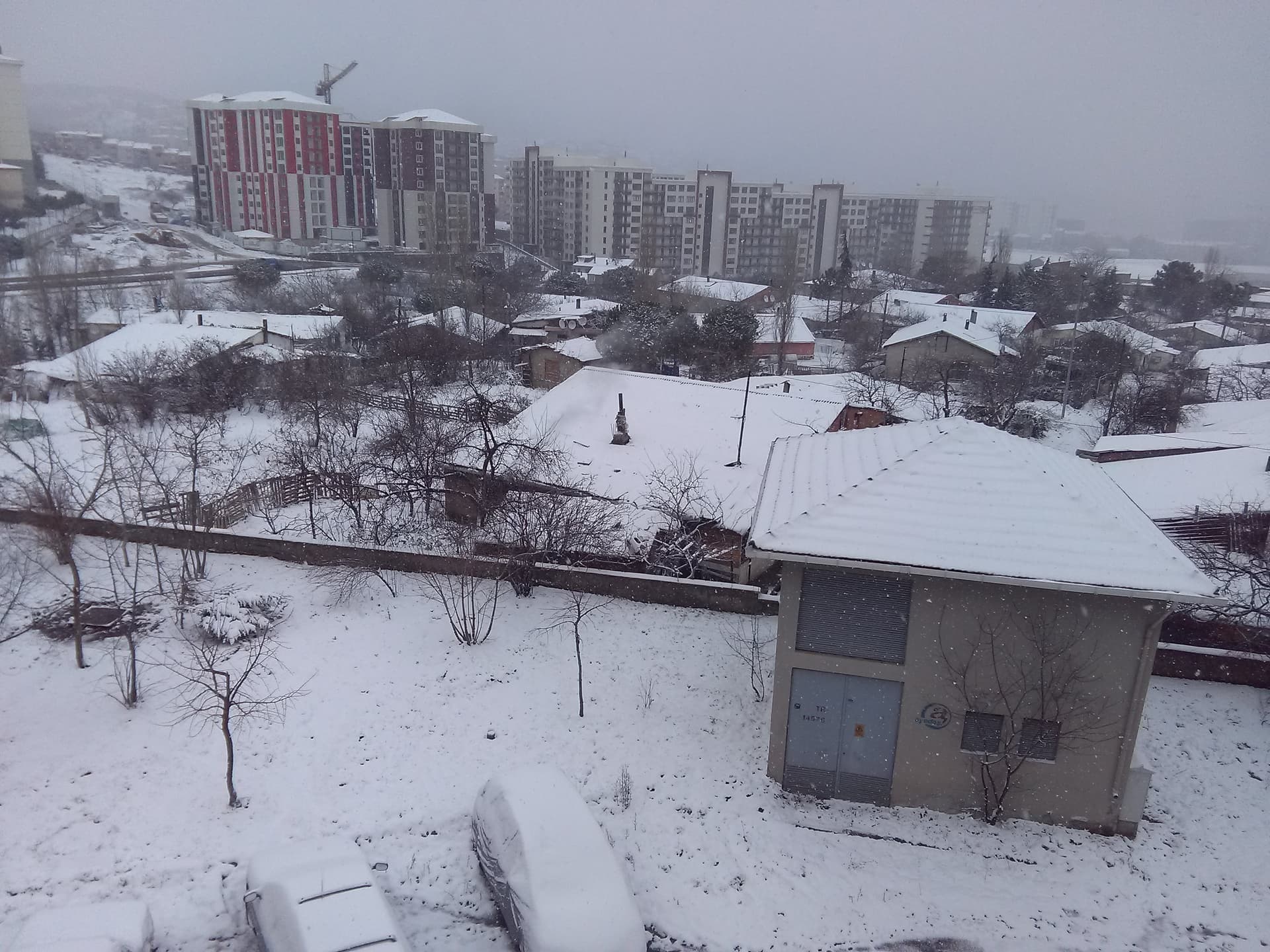 IMG_20200208_104548