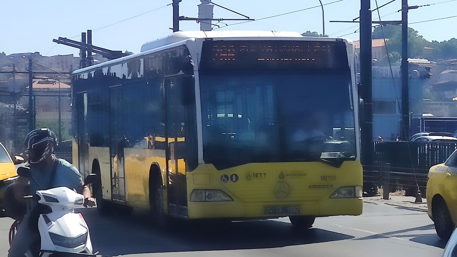 IMG_20230624_034209_1.jpg