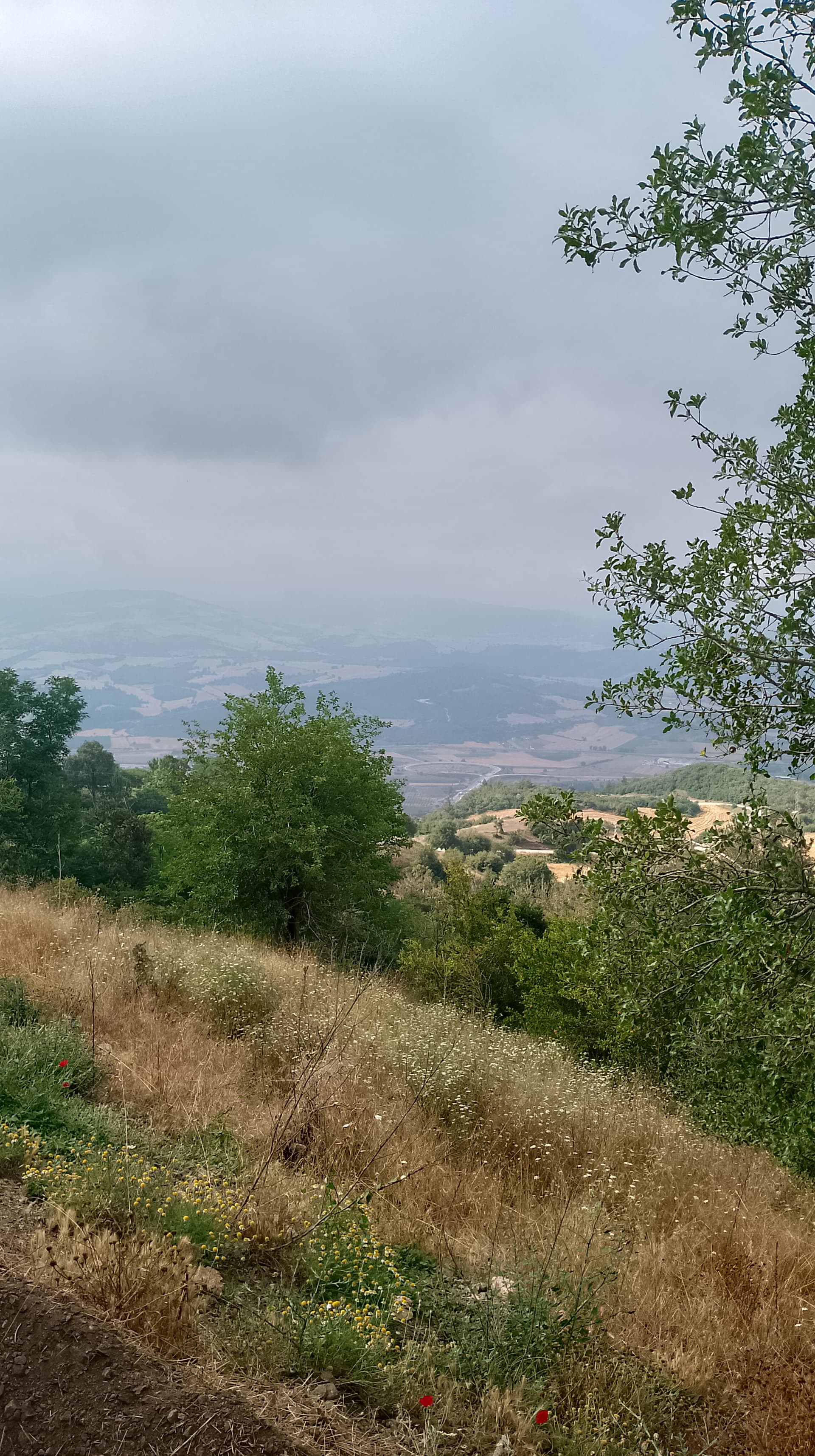 IMG_20230628_080958_HDR