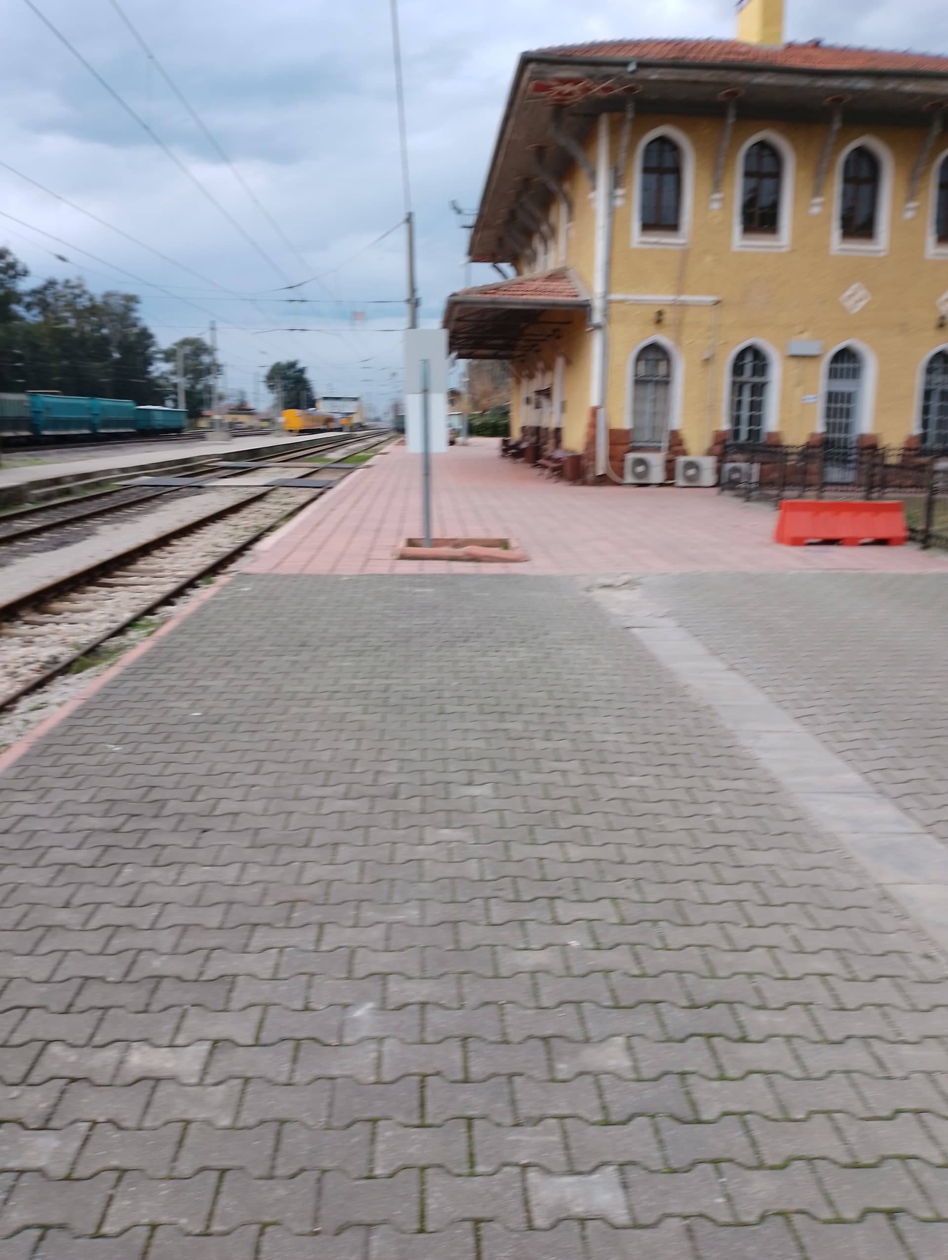 IMG_20240130_161848