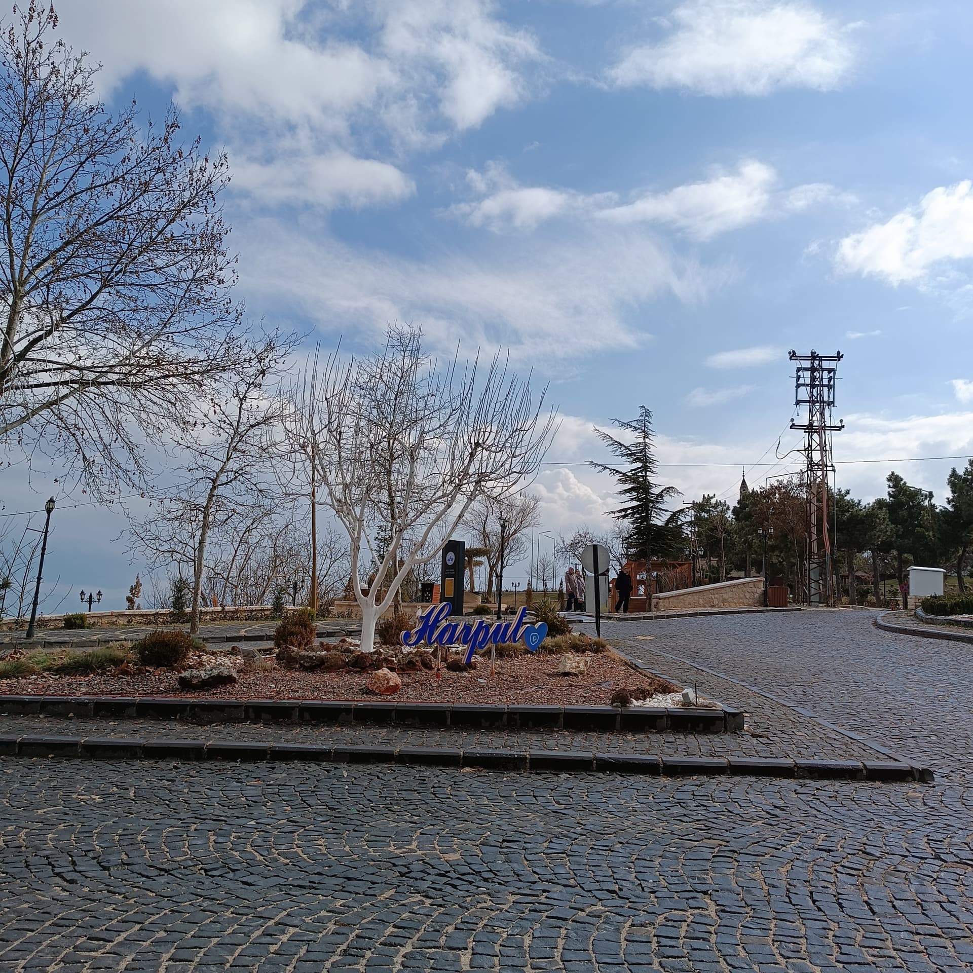 IMG_20240221_140636