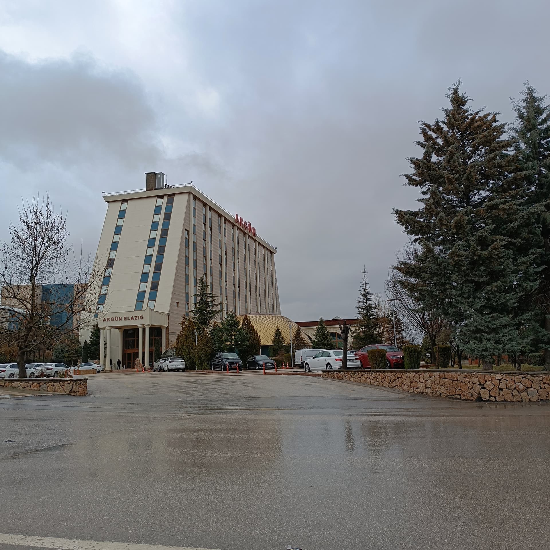 IMG_20240310_104651
