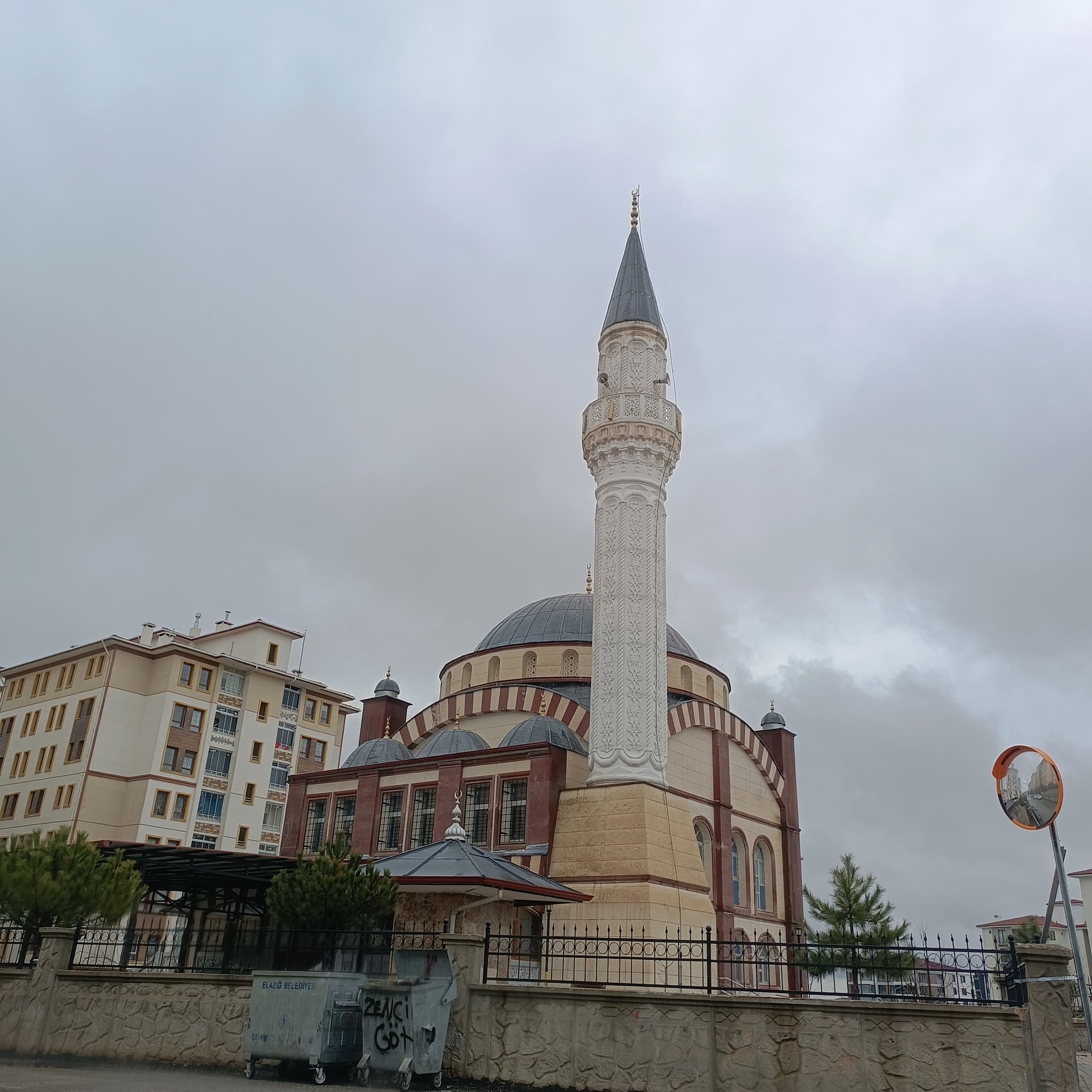 IMG_20240310_111041