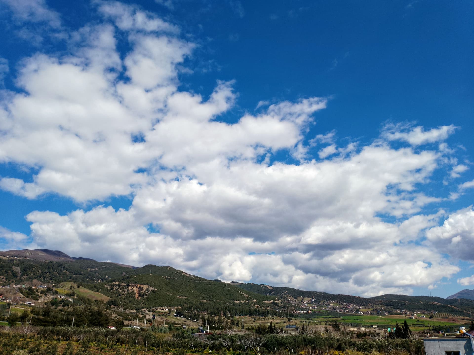 IMG_20240310_124403