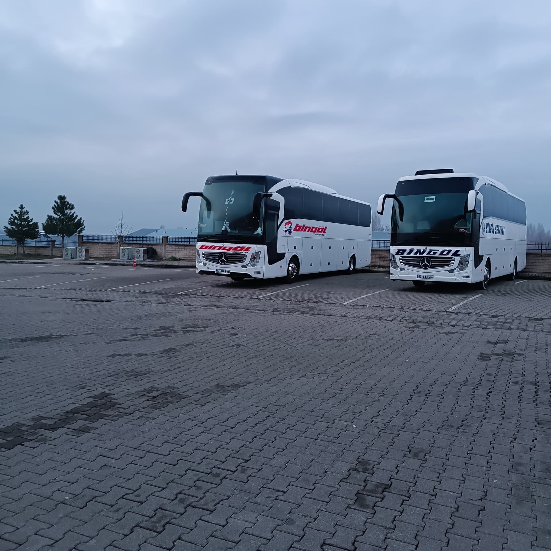 IMG_20240317_062527