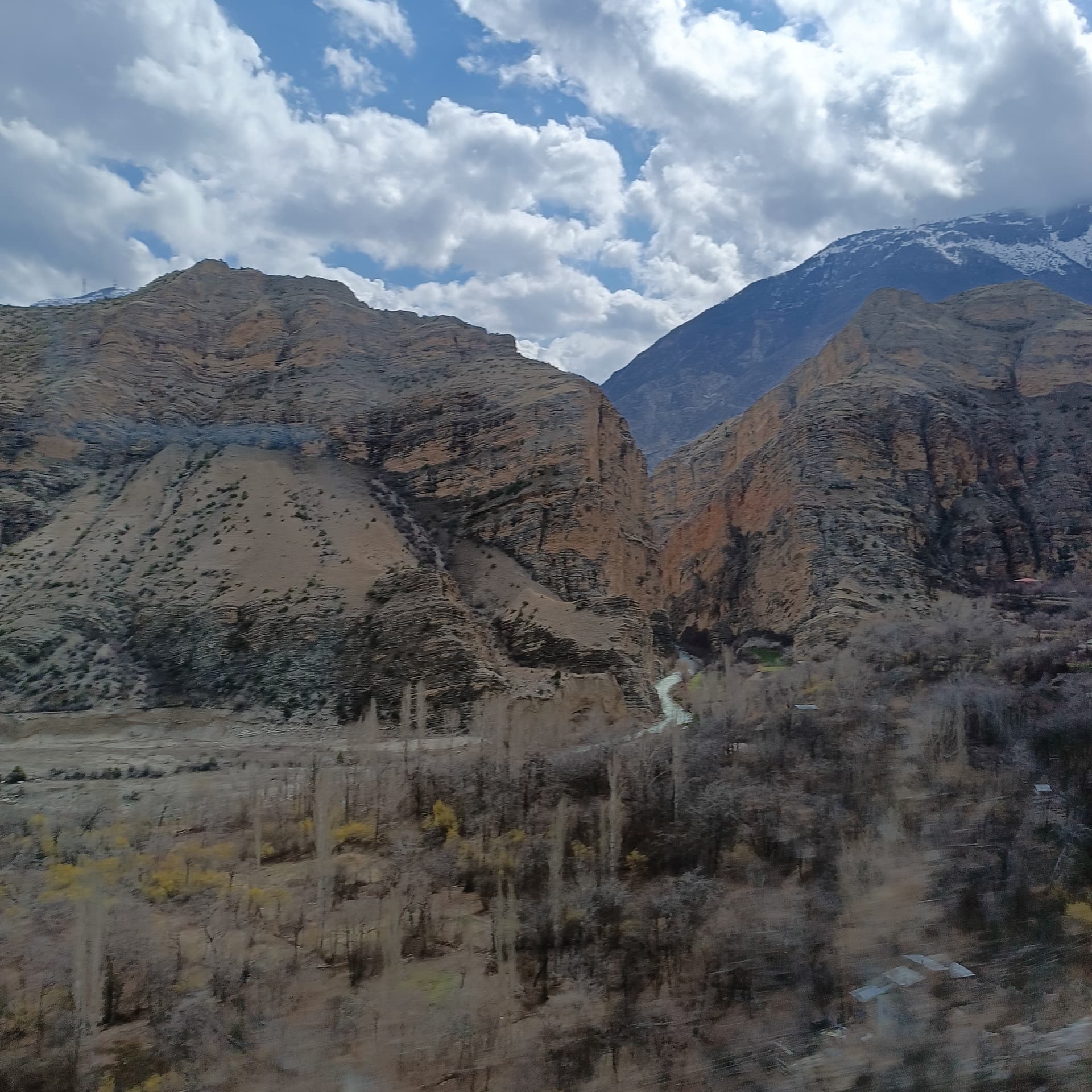 IMG_20240317_113534