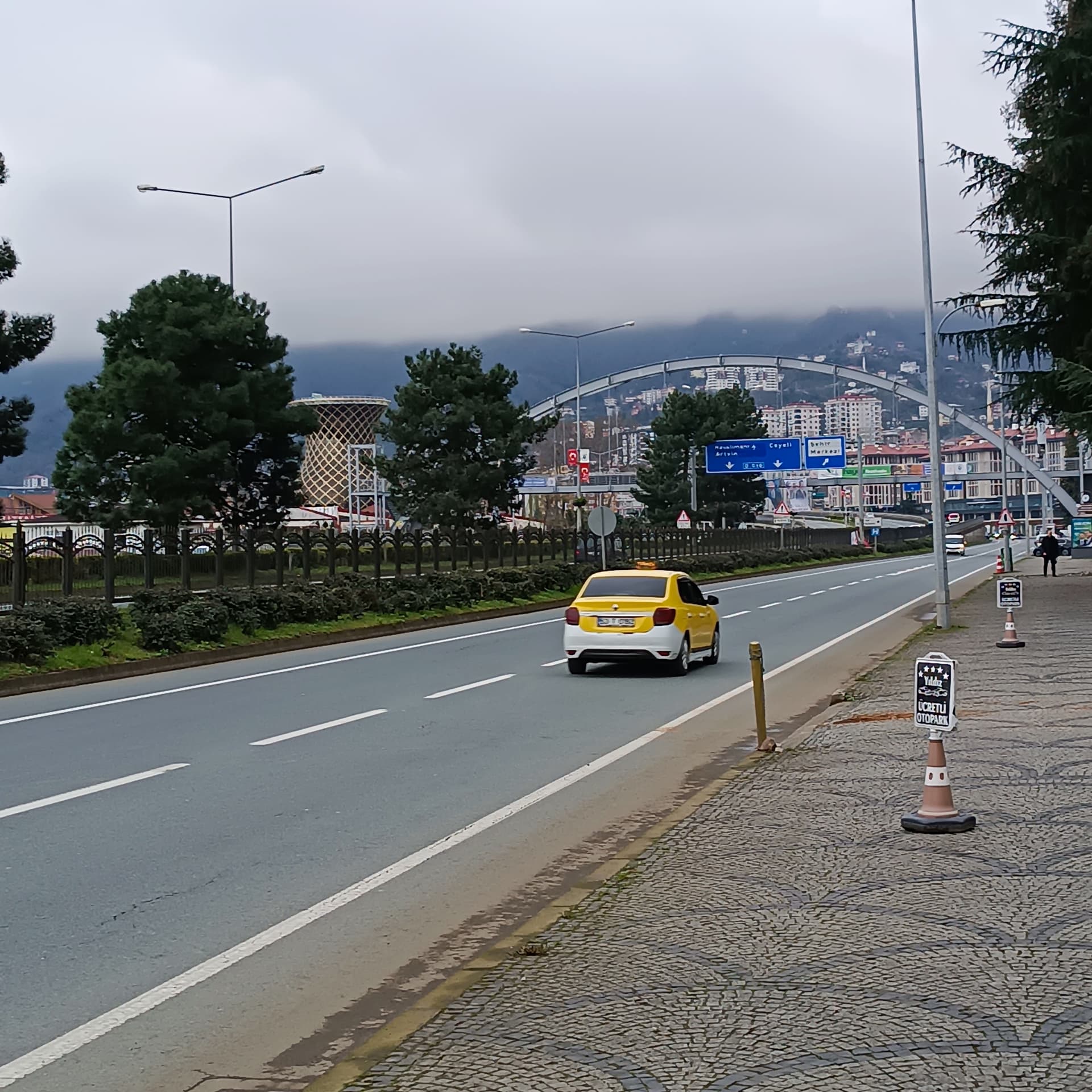 IMG_20240317_160859