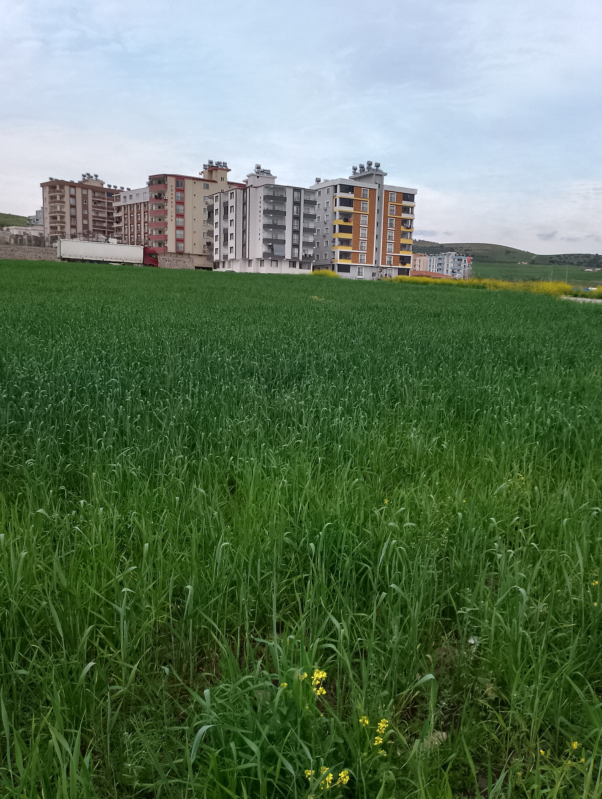 IMG_20240317_171928_HDR