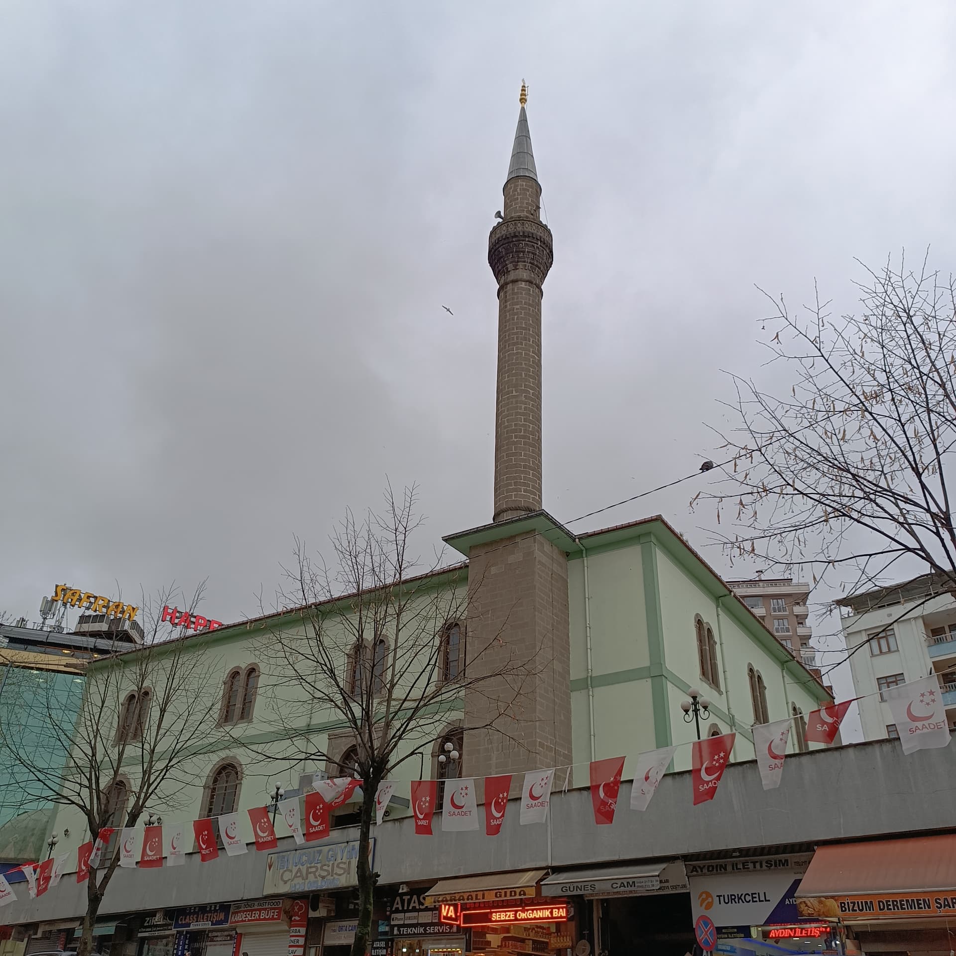 IMG_20240318_170806
