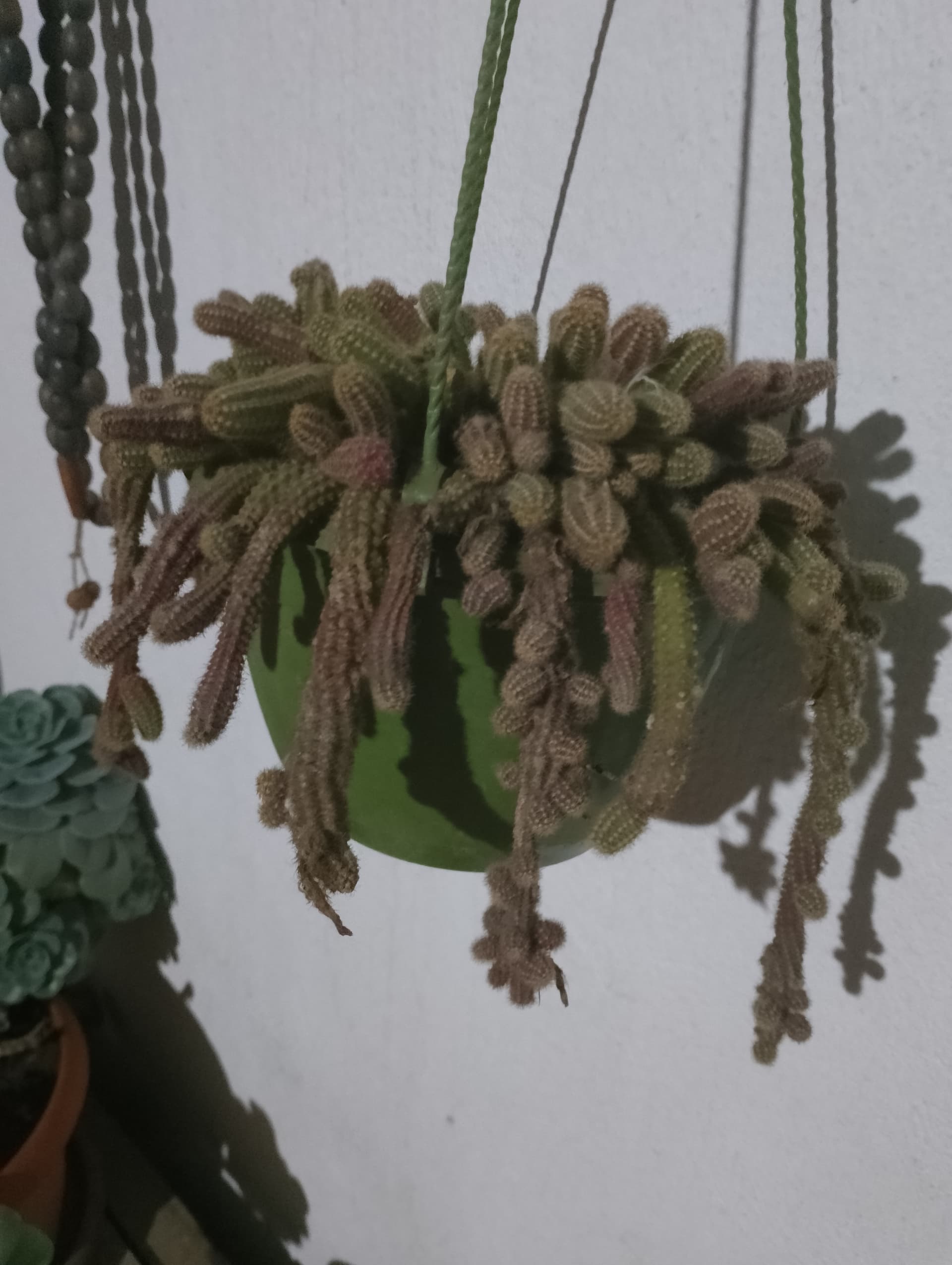 IMG_20240320_221630_HDR