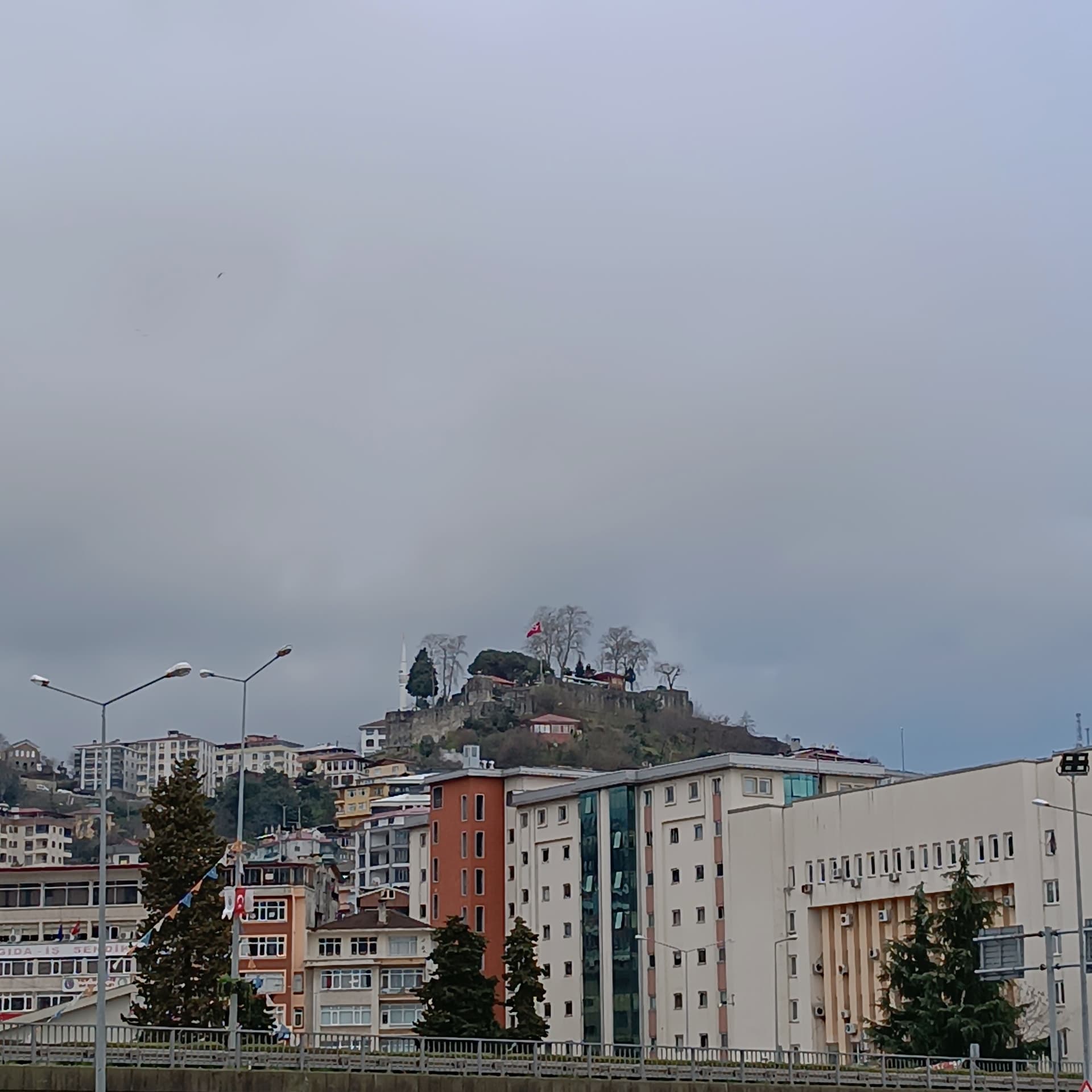 IMG_20240321_165939