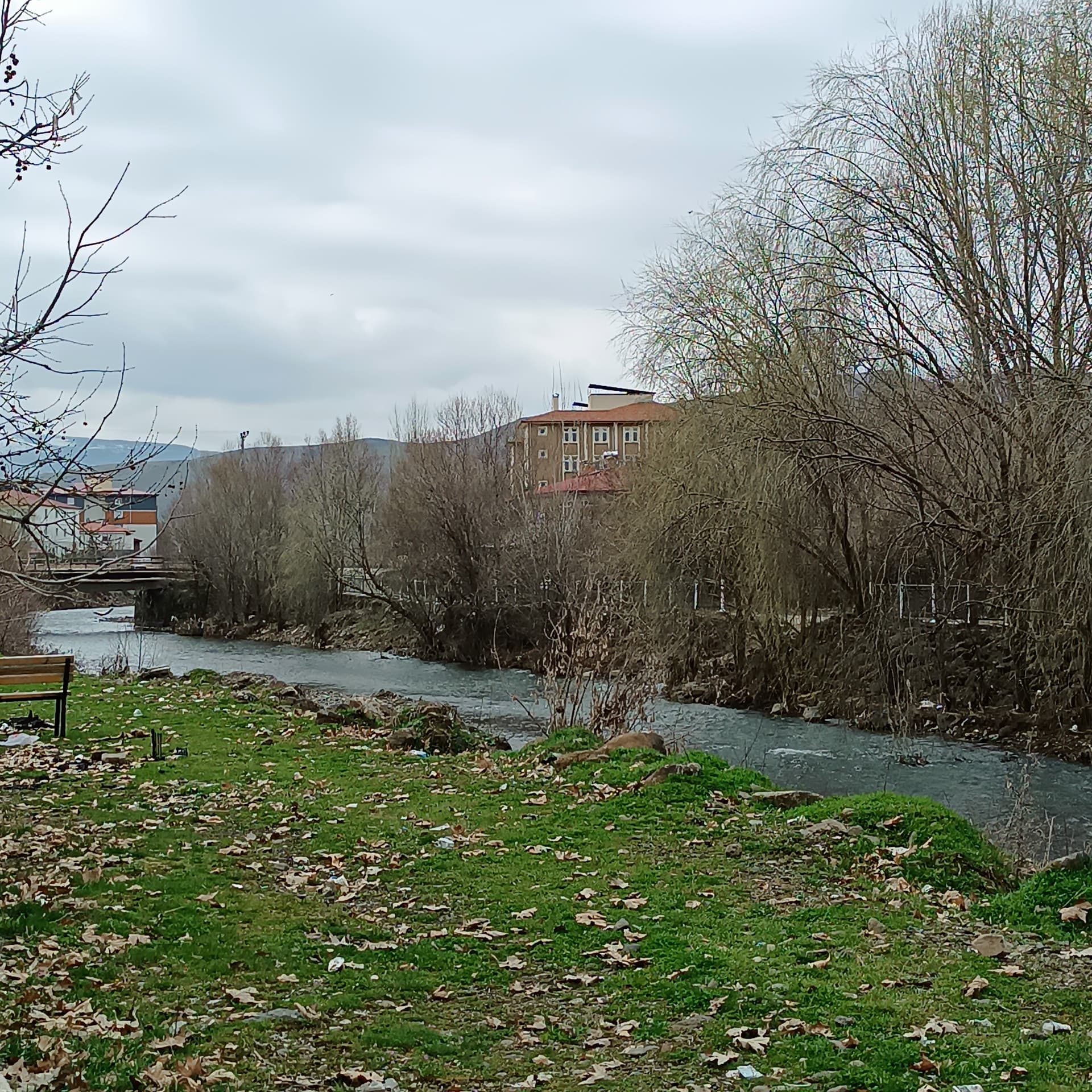 IMG_20240328_110617