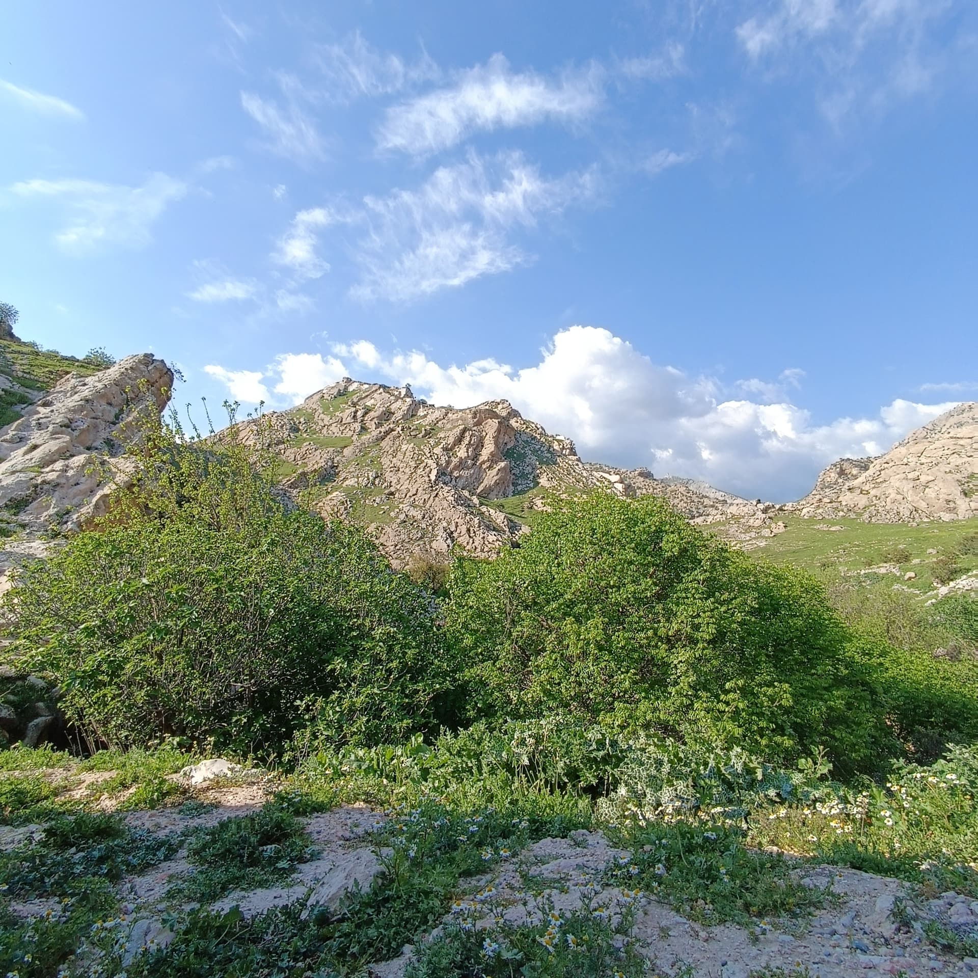 IMG_20240412_160424