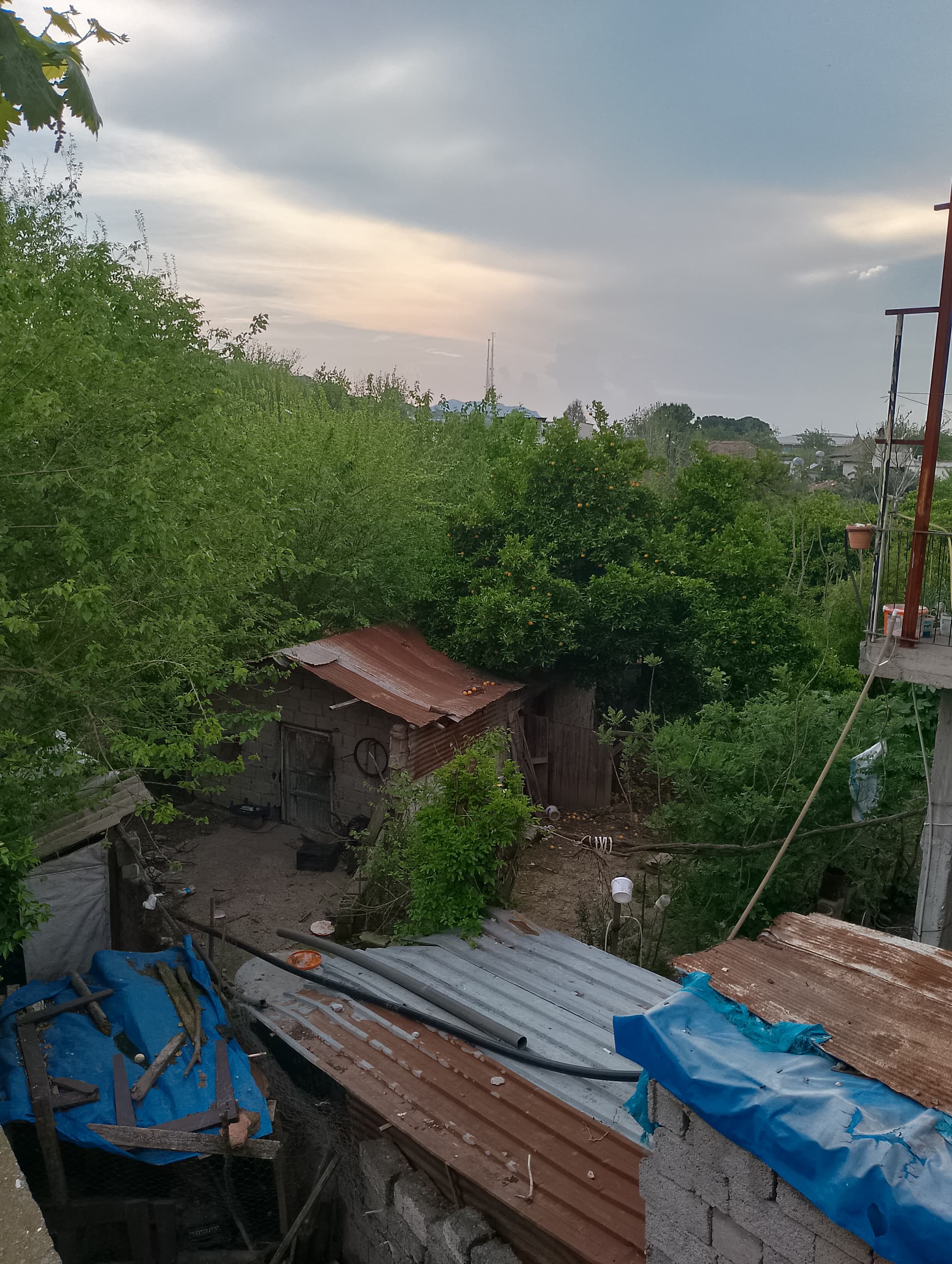 IMG_20240412_170115_HDR