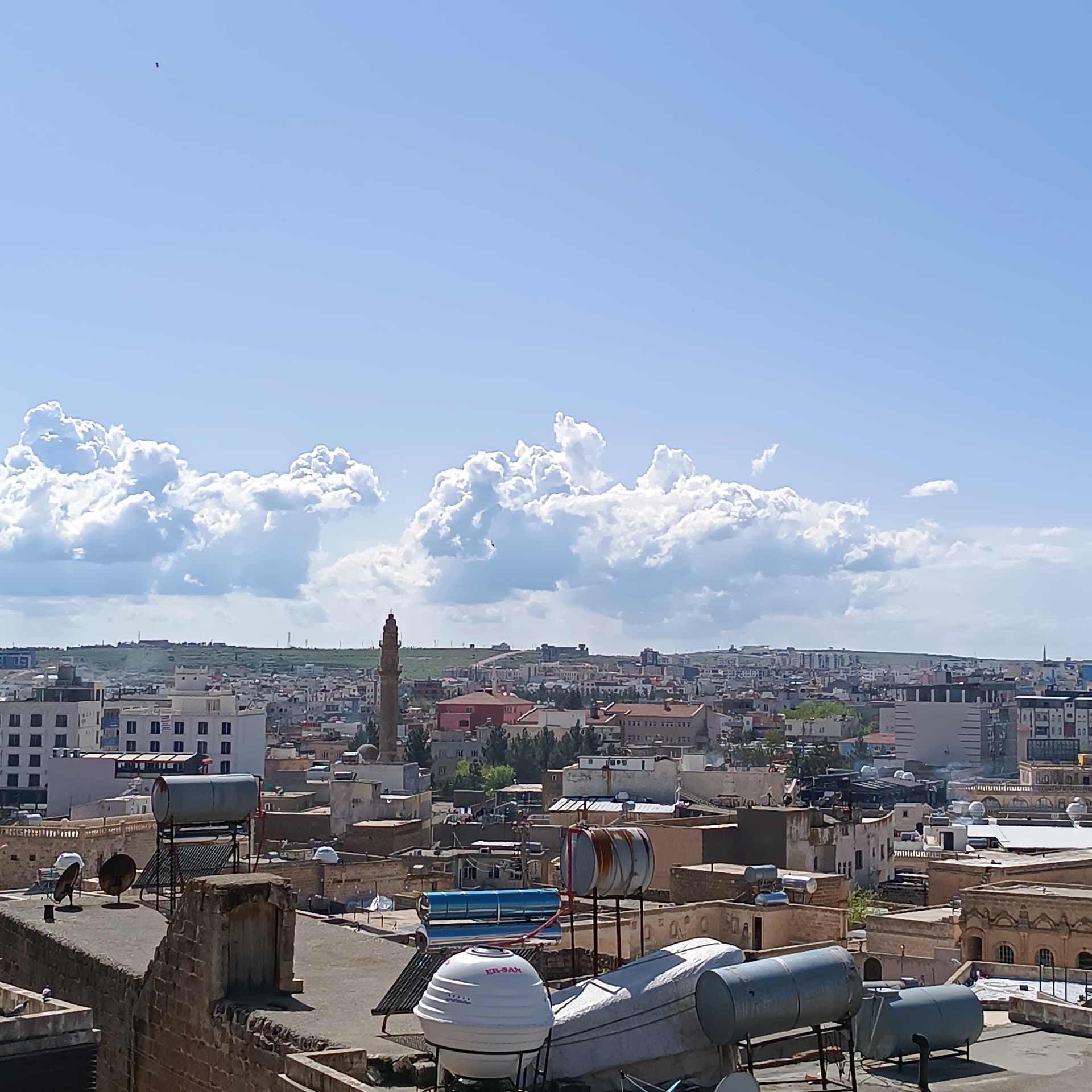 IMG_20240413_142811