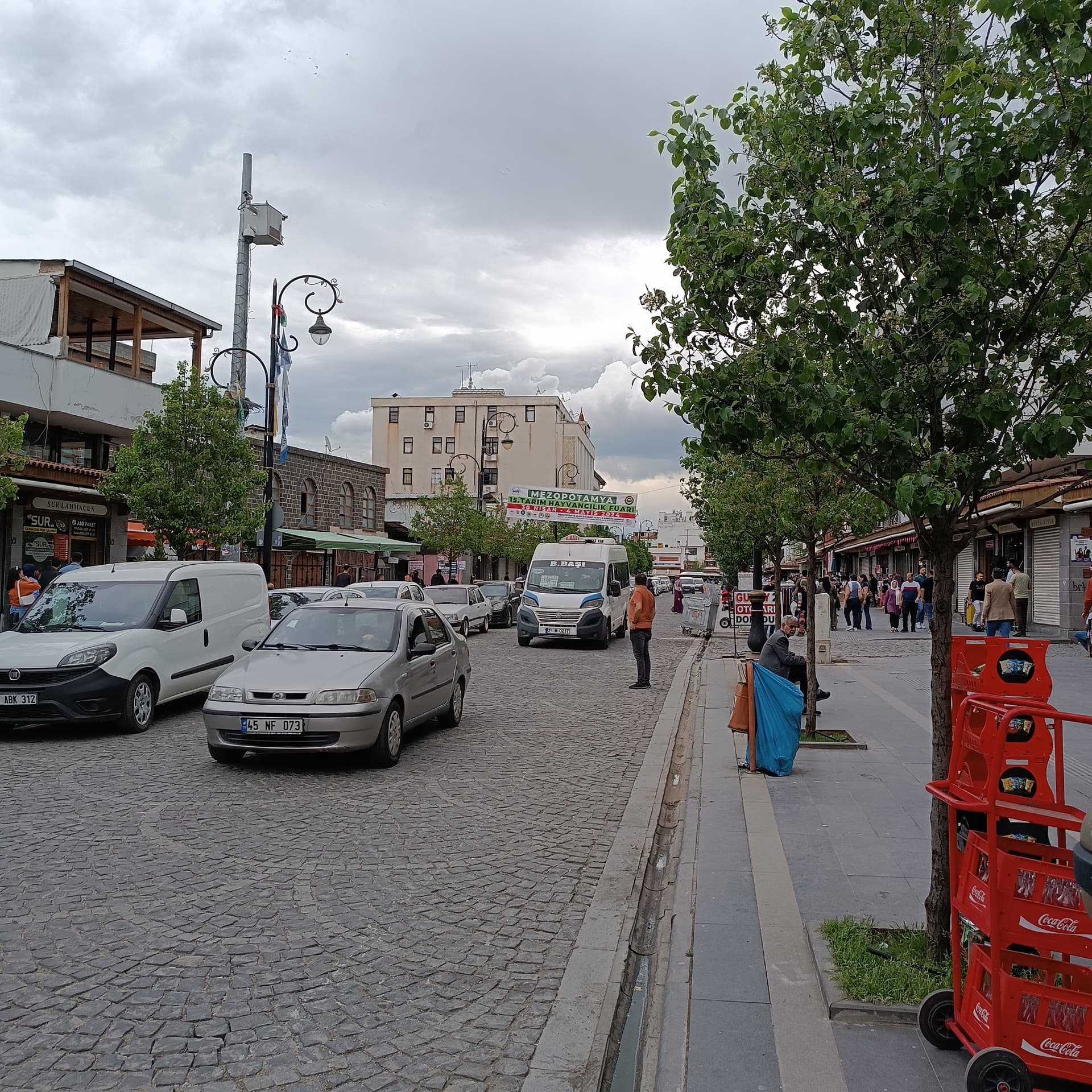 IMG_20240414_152646