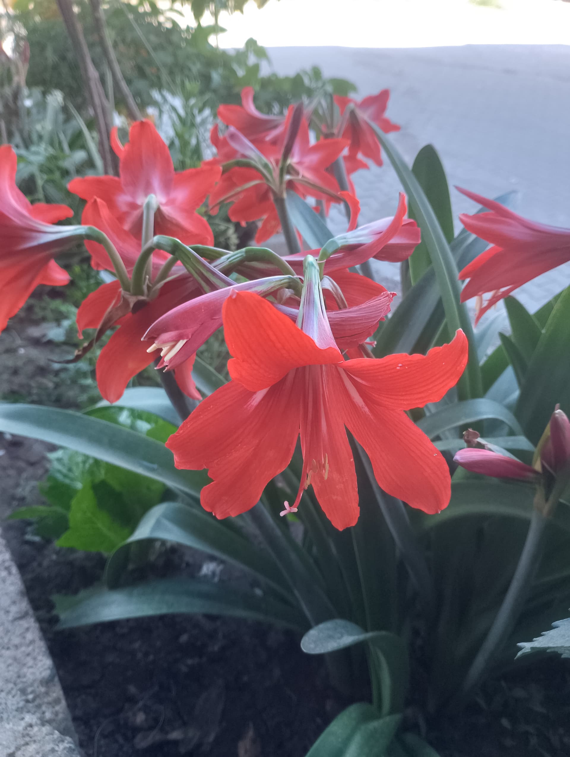 IMG_20240421_160638_HDR