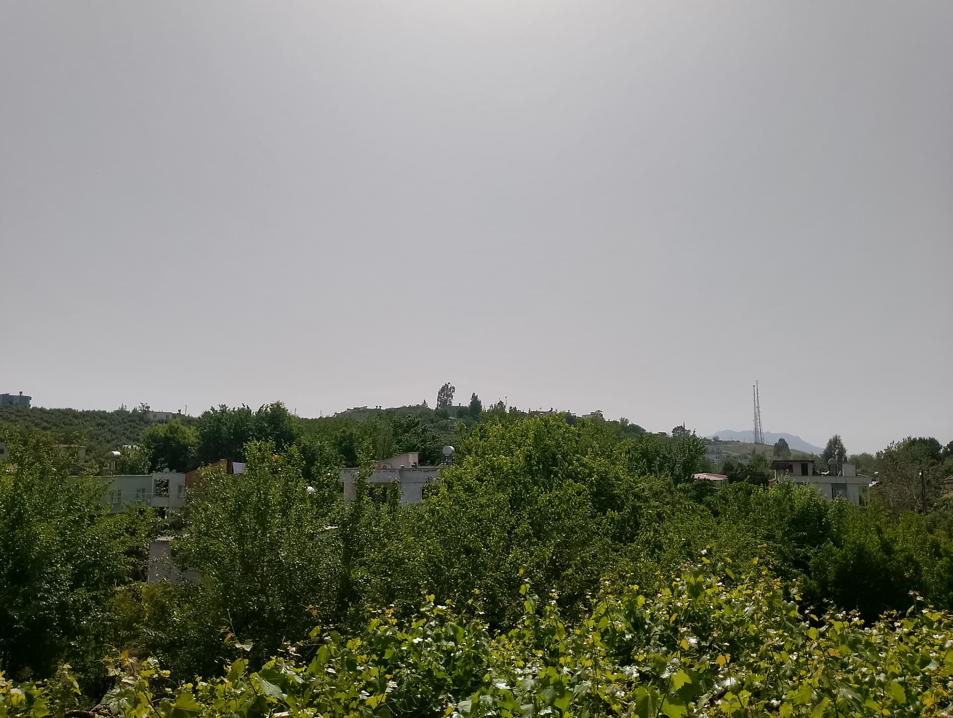 IMG_20240423_144355_HDR