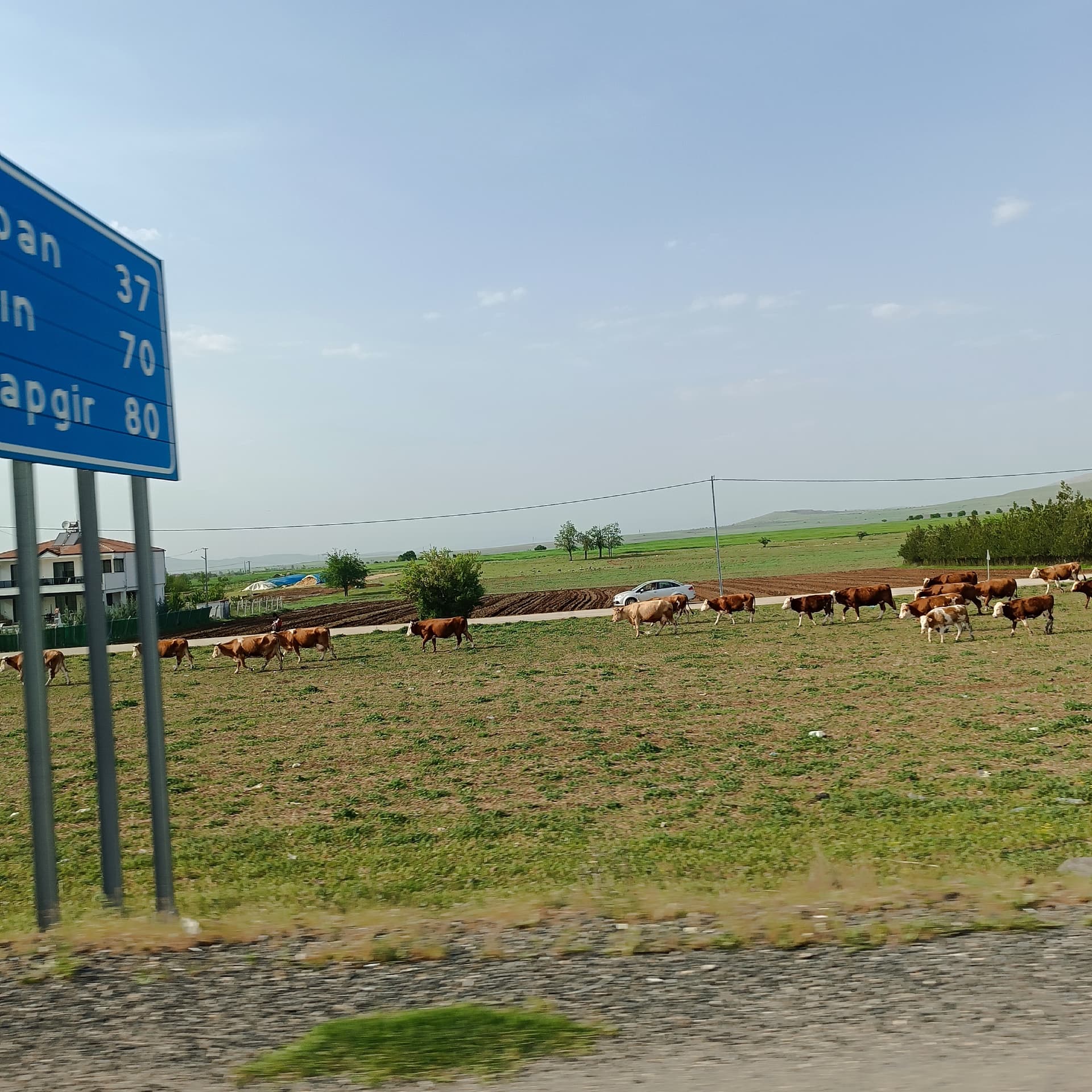 IMG_20240428_163624