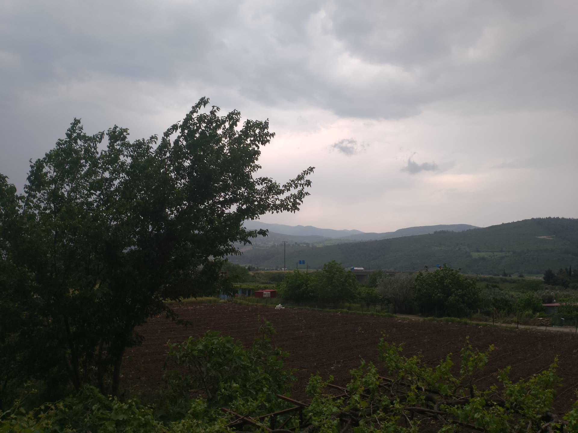 IMG_20240501_140803