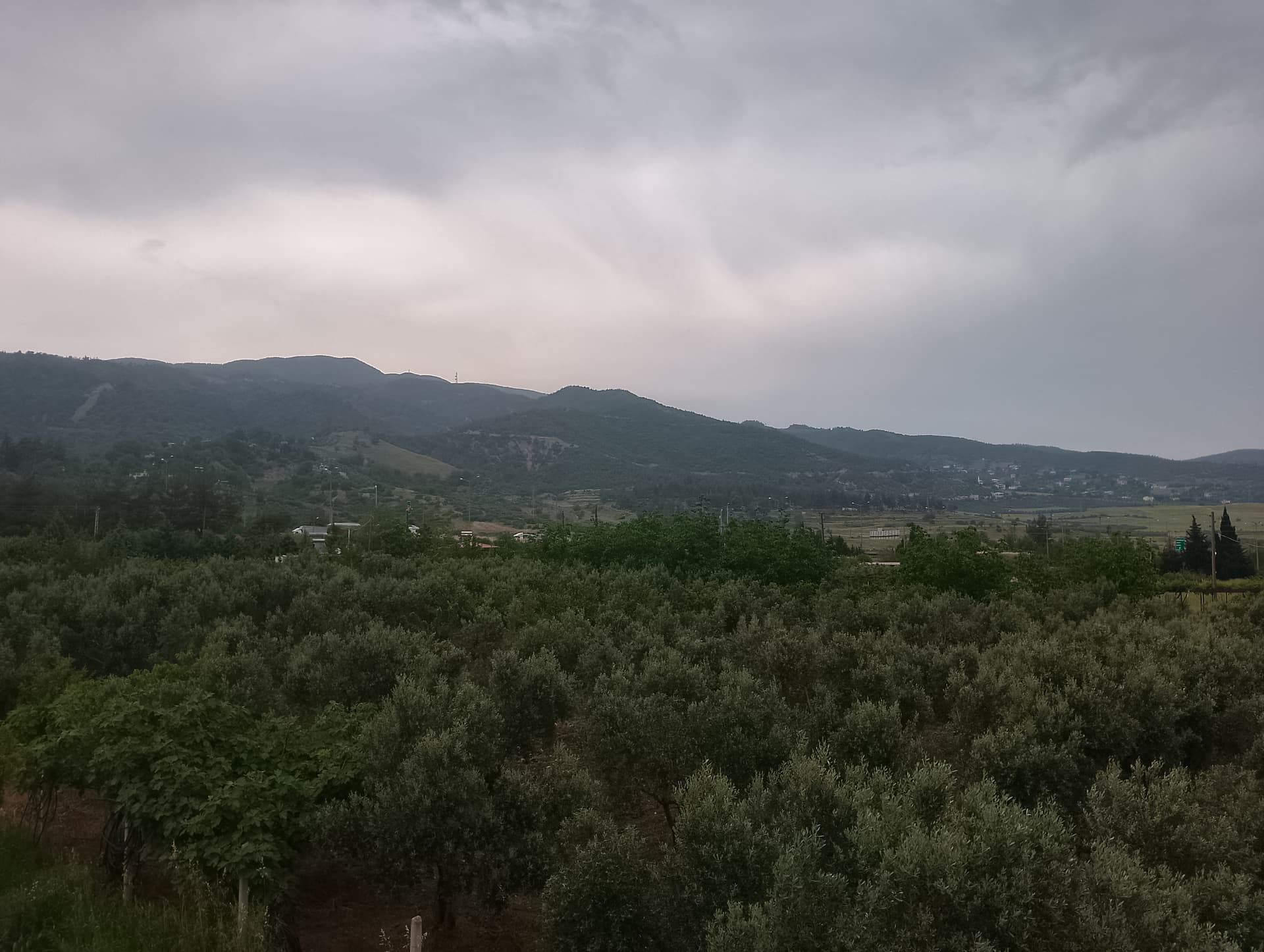IMG_20240501_150619_HDR